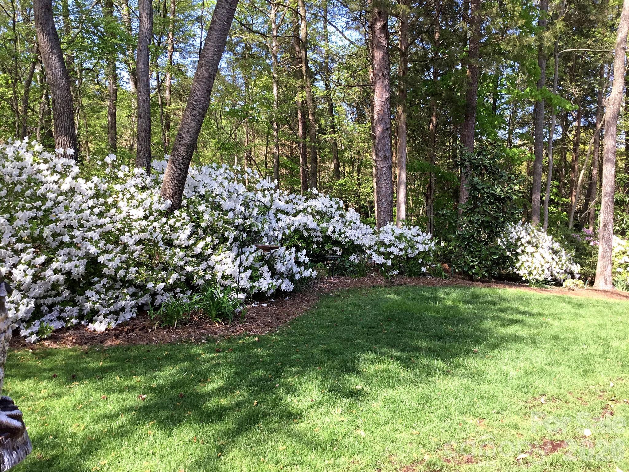 8724 Suninghurst Lane — Charlotte