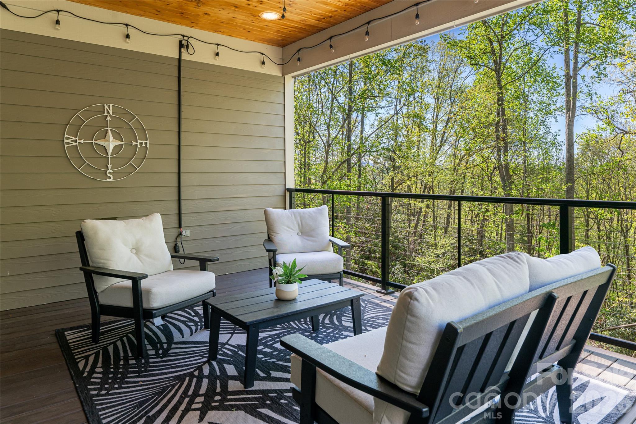 36 Snowshoe Drive — Asheville