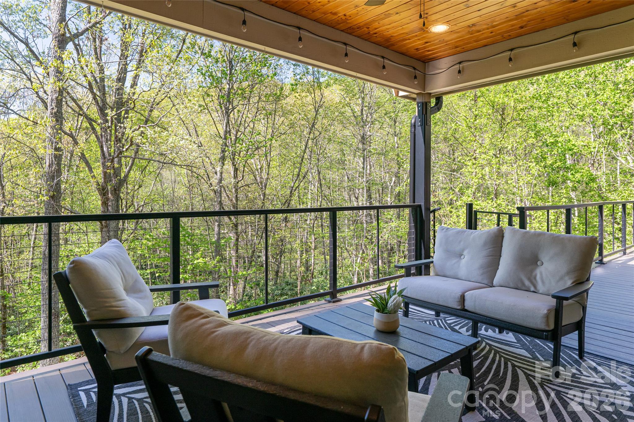 36 Snowshoe Drive — Asheville