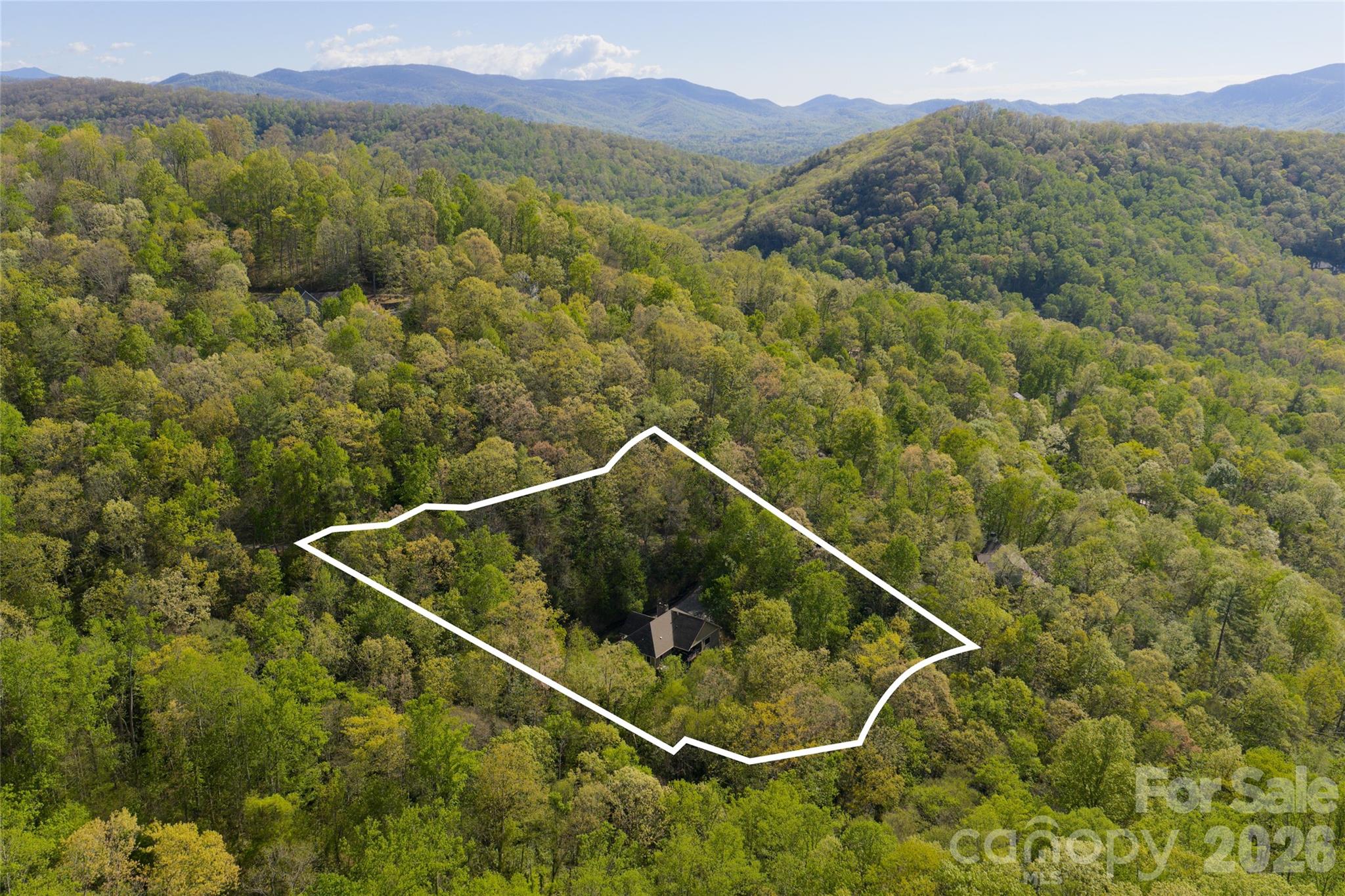 36 Snowshoe Drive — Asheville