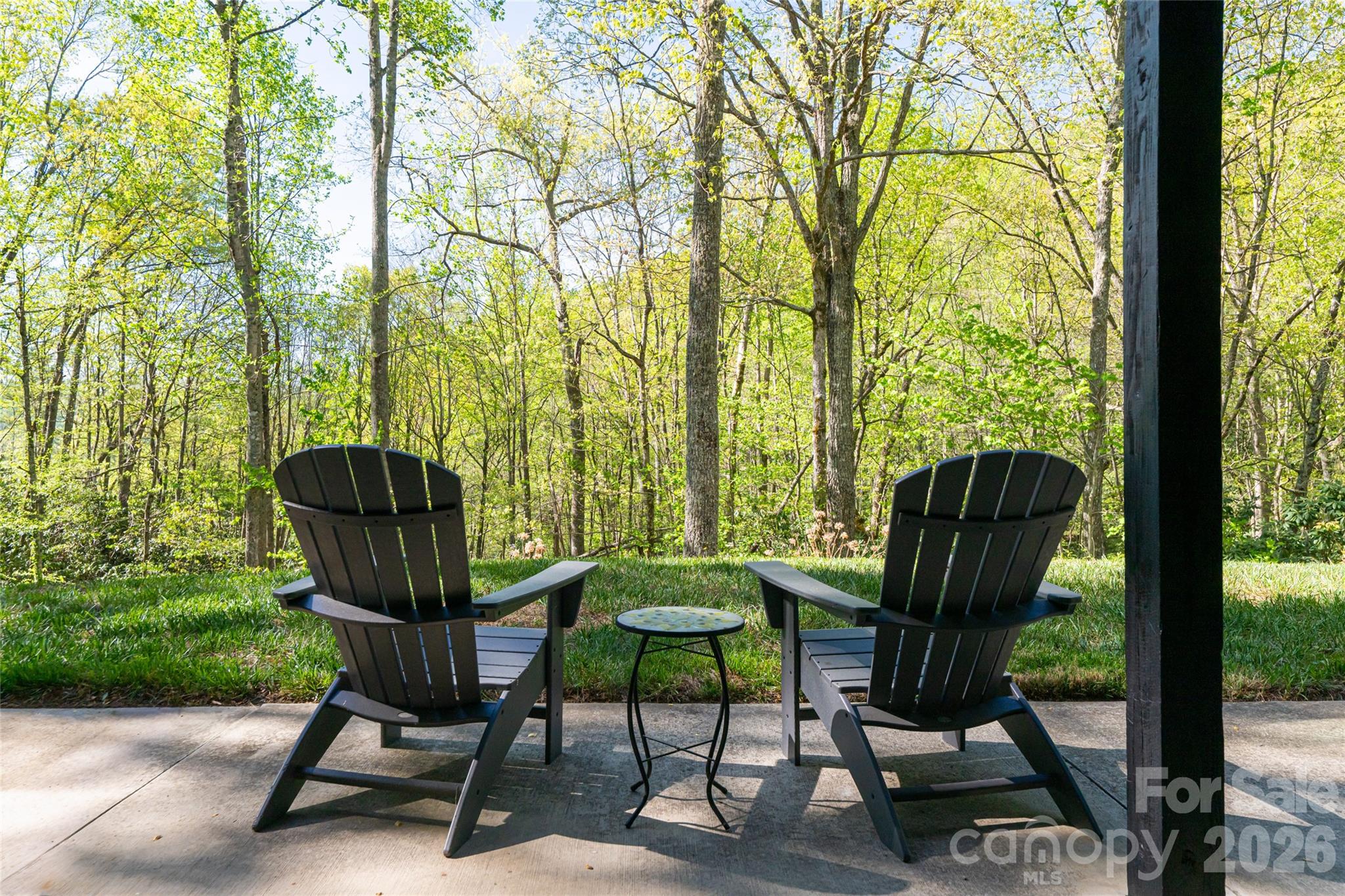 36 Snowshoe Drive — Asheville