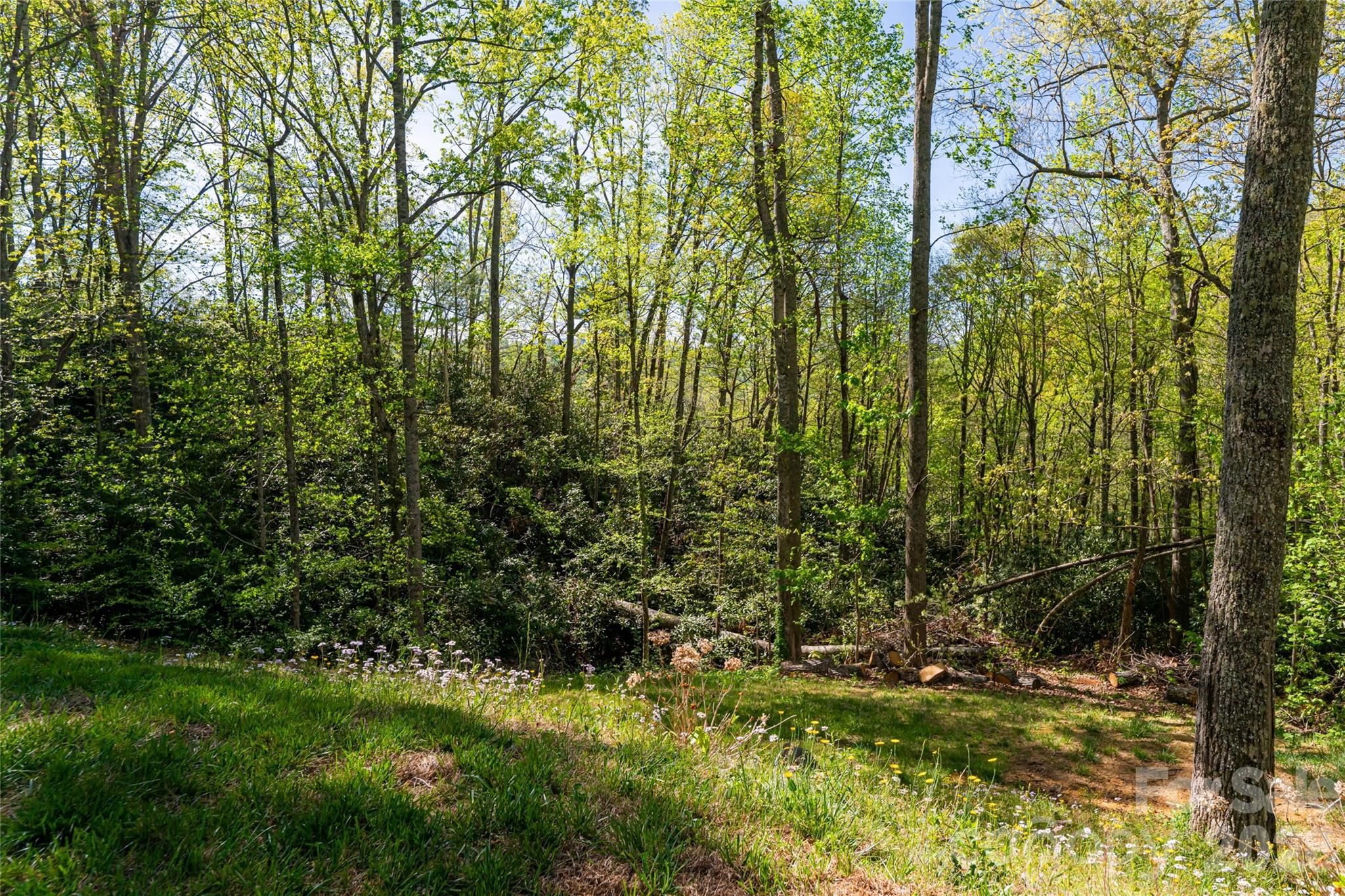 36 Snowshoe Drive — Asheville
