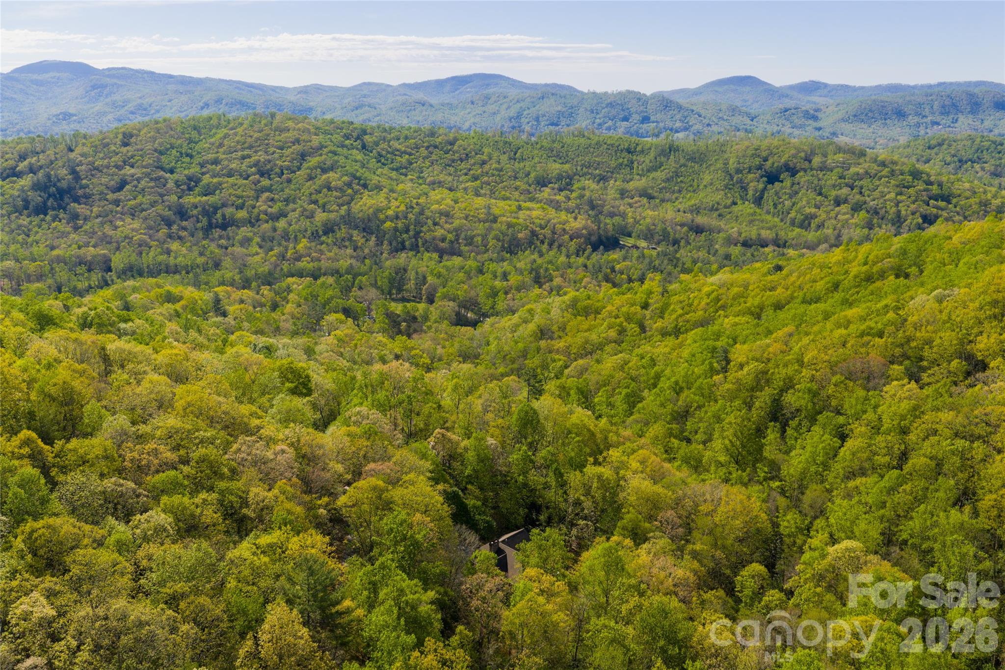 36 Snowshoe Drive — Asheville