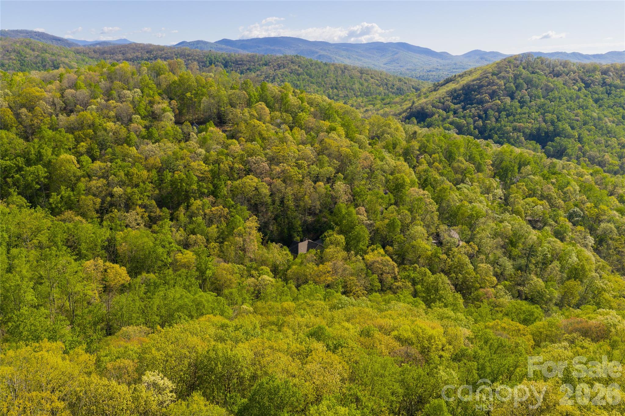 36 Snowshoe Drive — Asheville