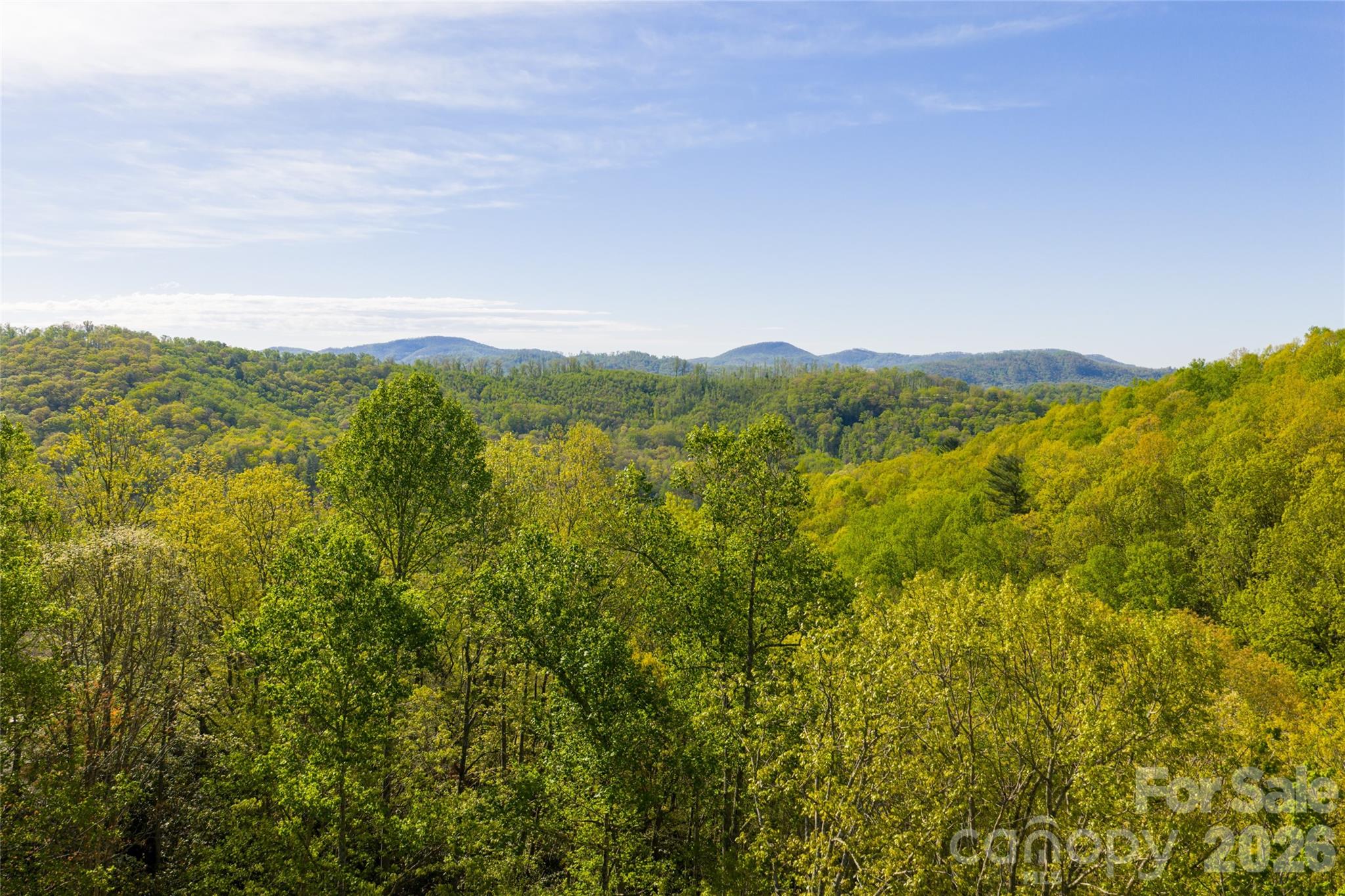 36 Snowshoe Drive — Asheville