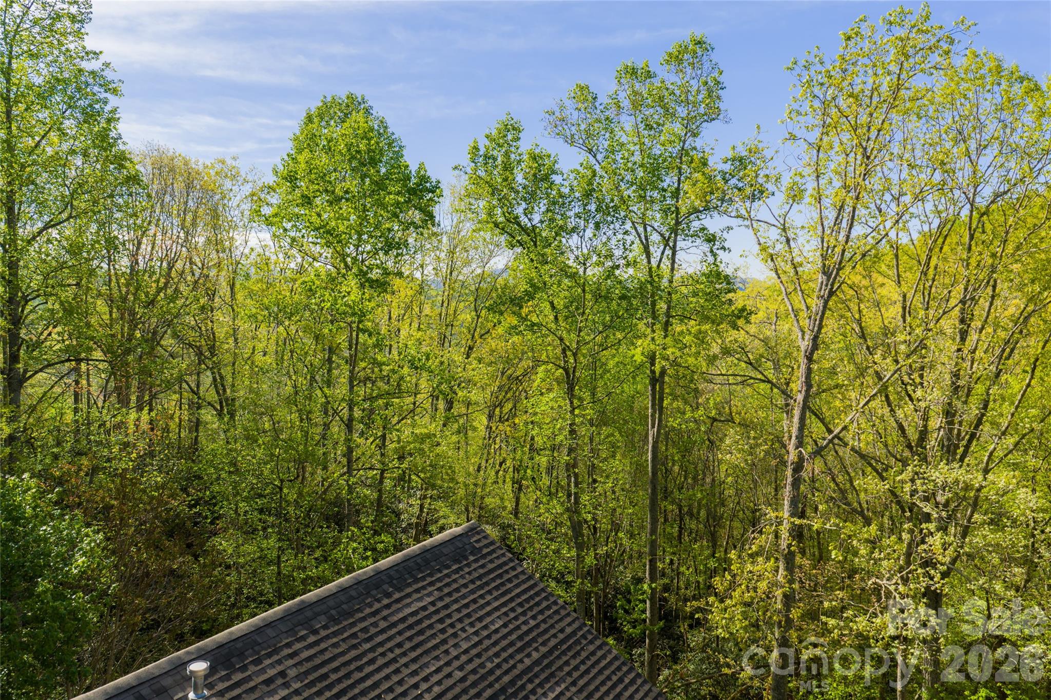 36 Snowshoe Drive — Asheville