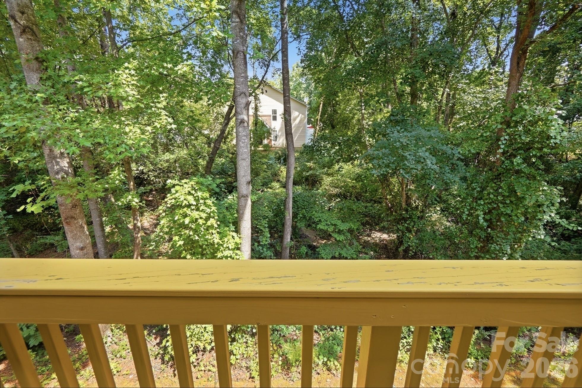 17067 Commons Creek Drive — Charlotte