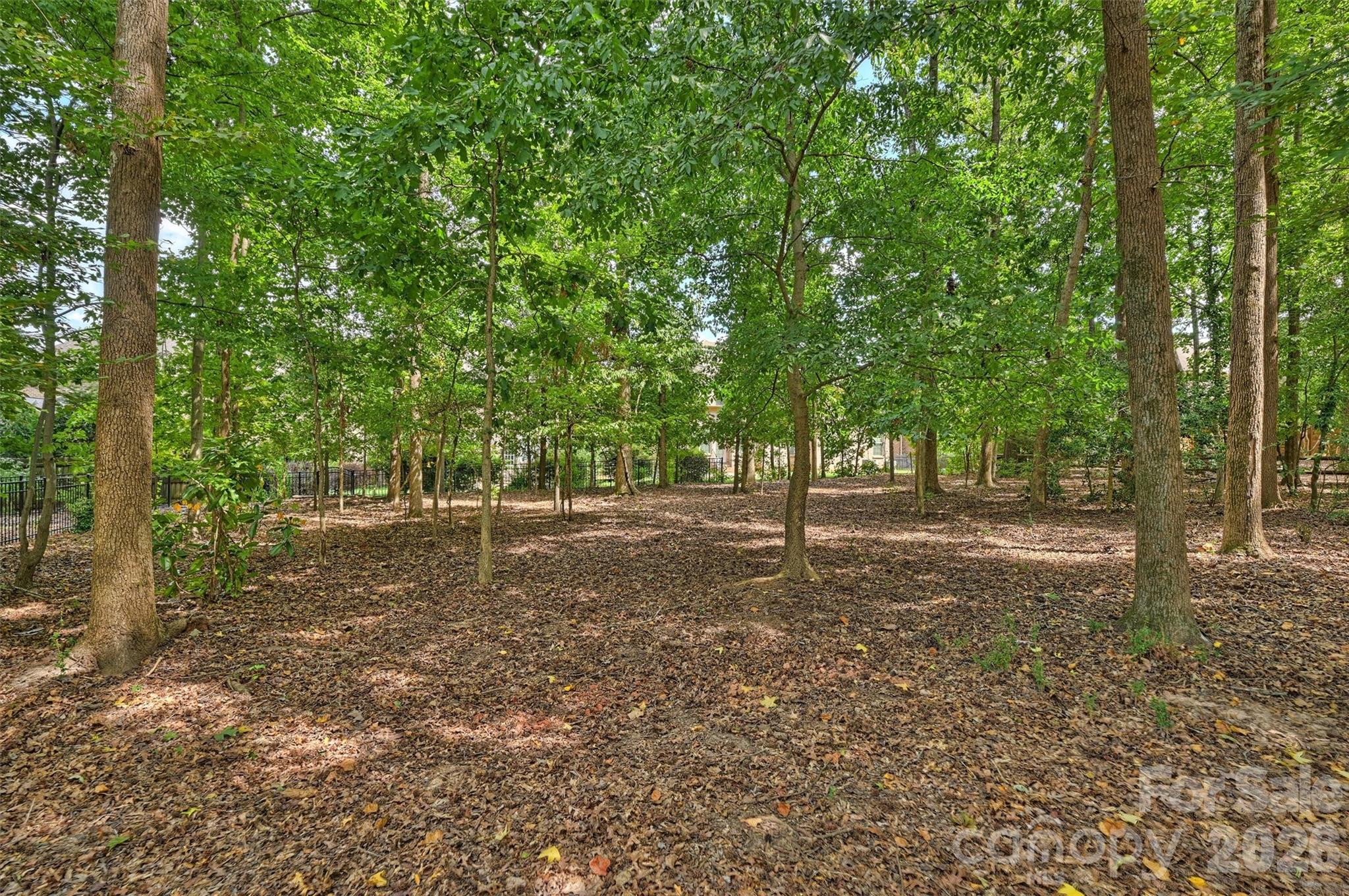 9809 Providence Forest Lane — Charlotte
