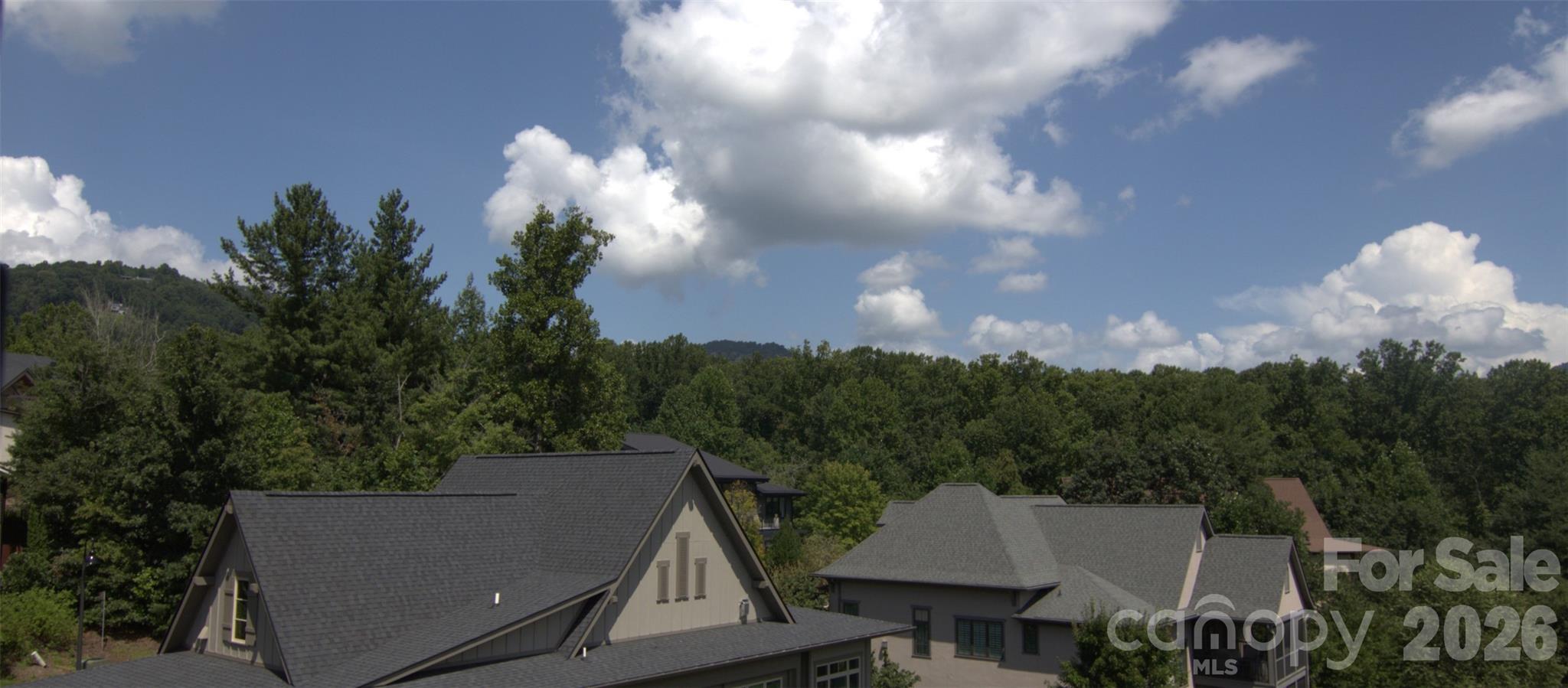 47 Versailles Lane — Asheville