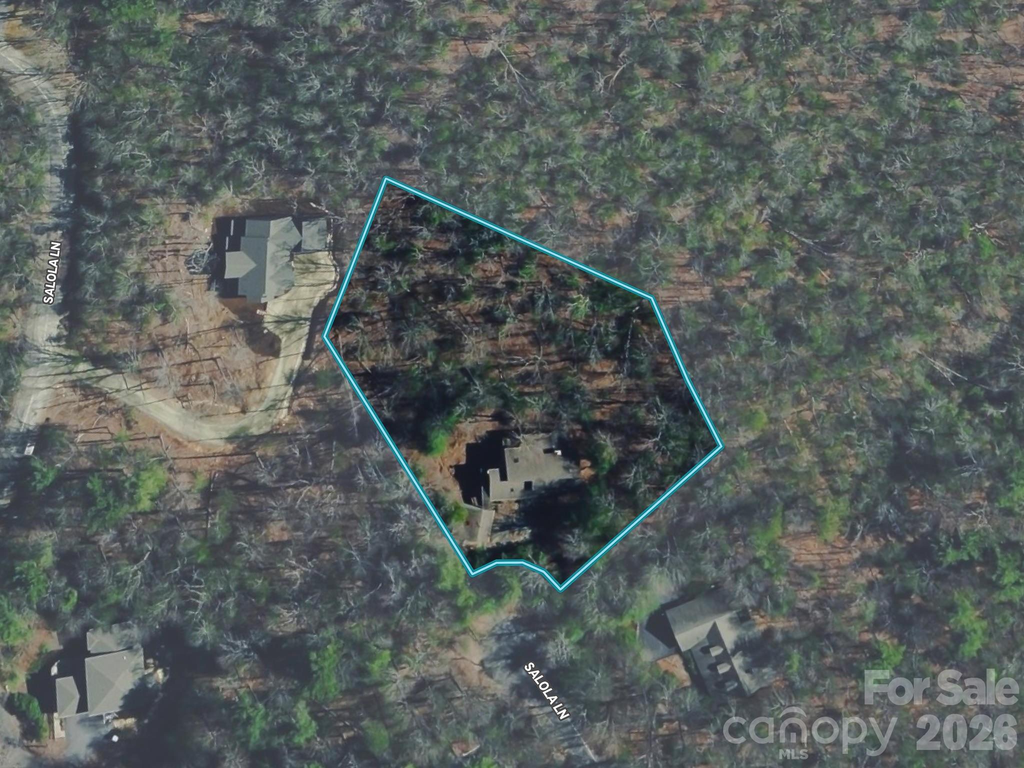 1370 Salola Lane — Brevard