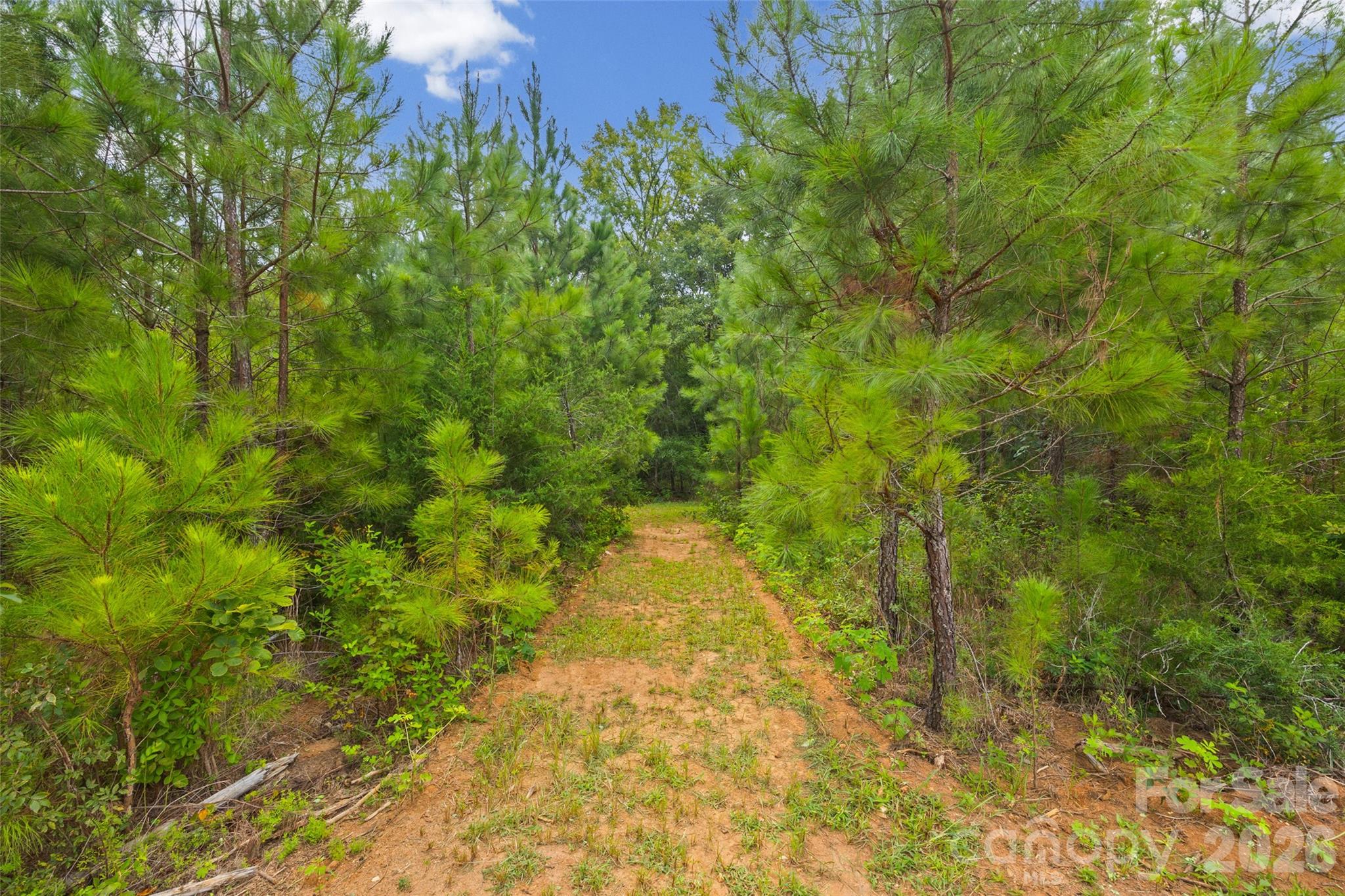 2231 Wooten Road — Chester