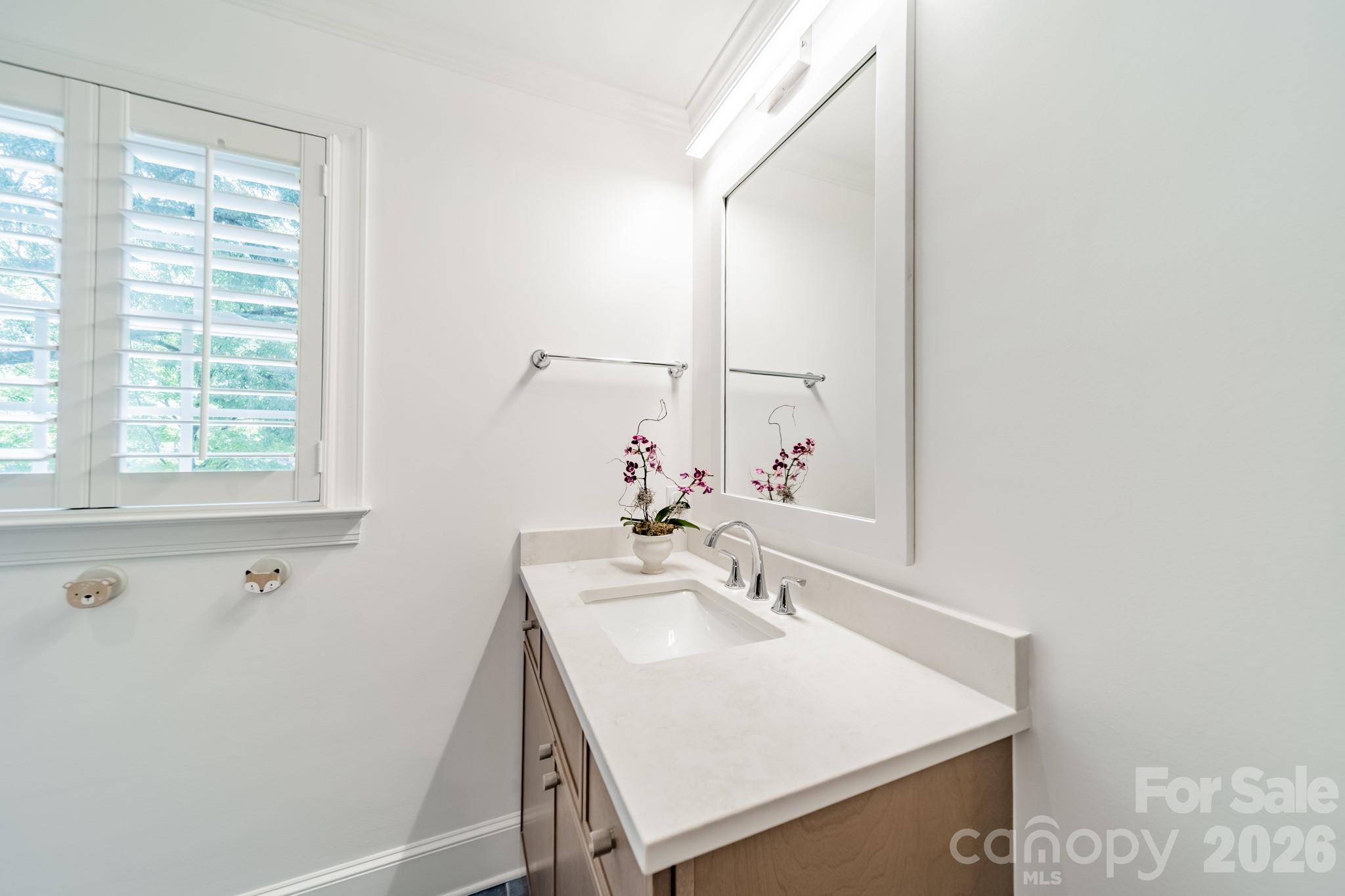 3821 Silver Bell Drive — Charlotte