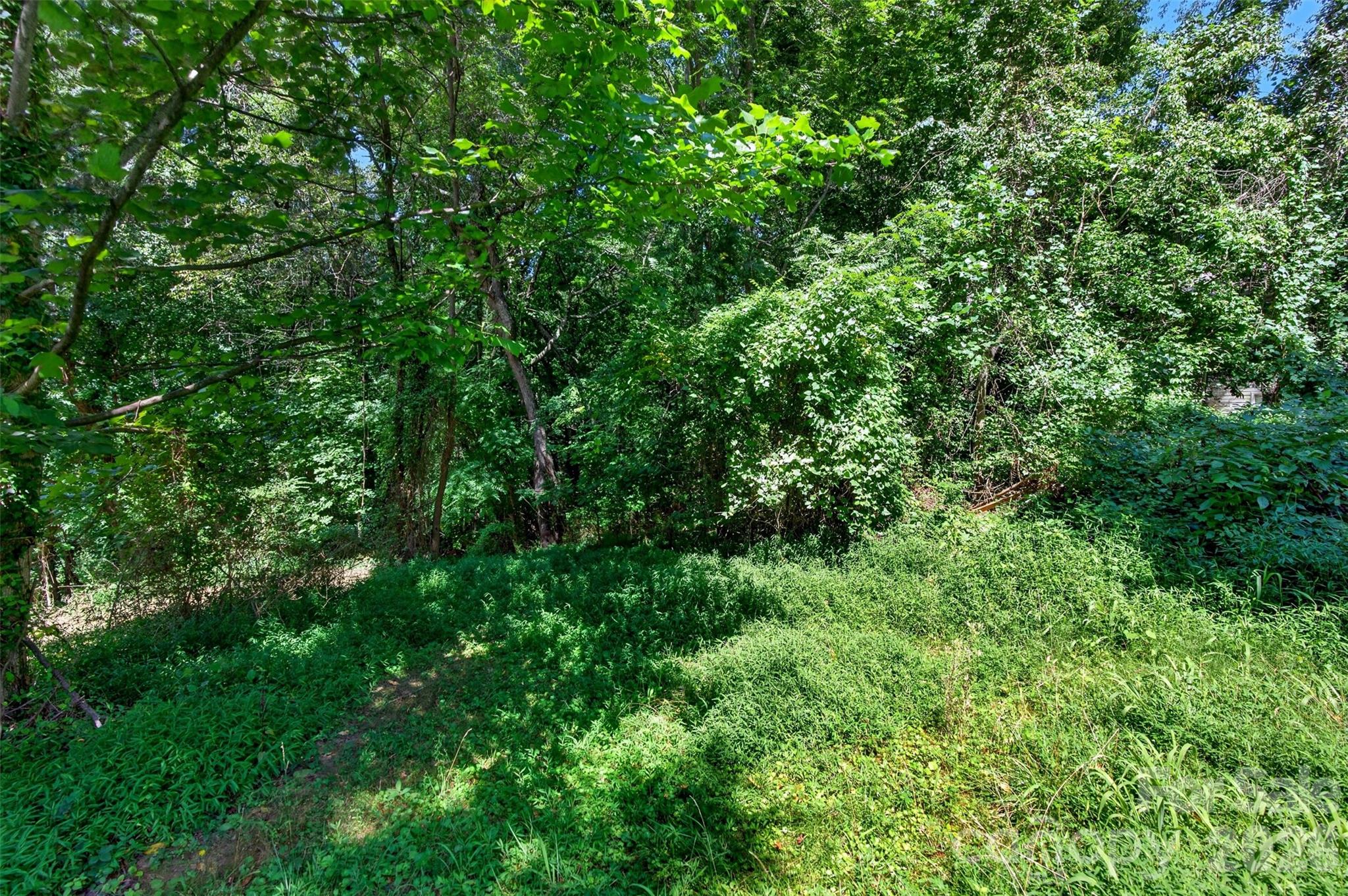 21 Maple Avenue — Candler