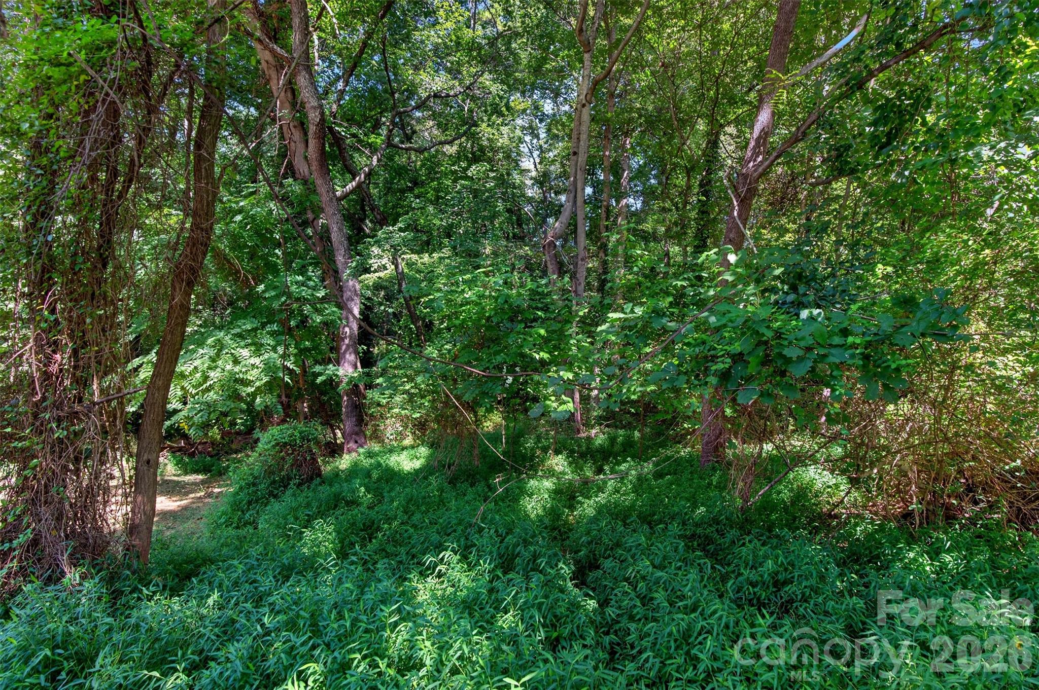 21 Maple Avenue — Candler