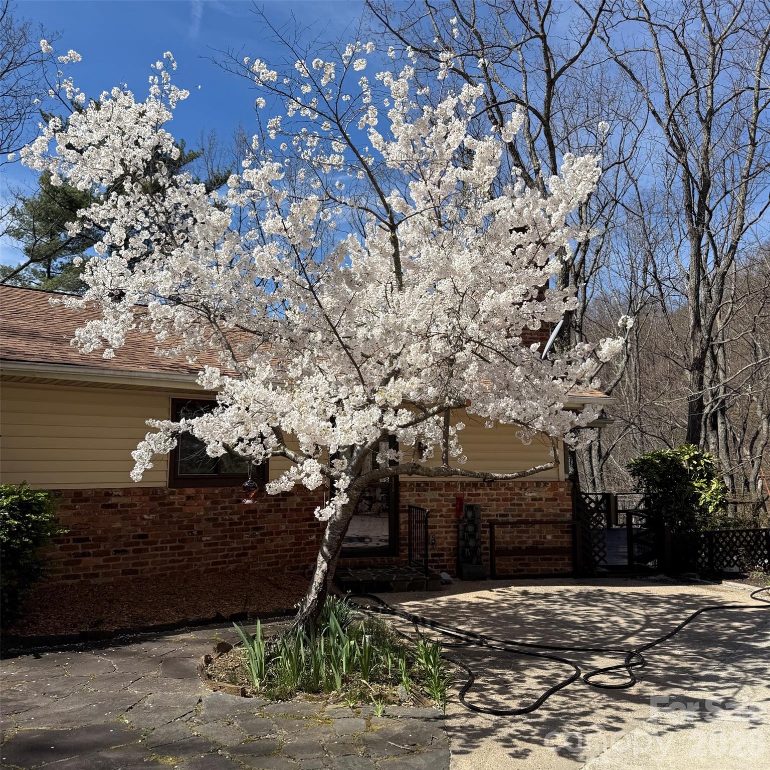 12 E Park Drive — Tryon