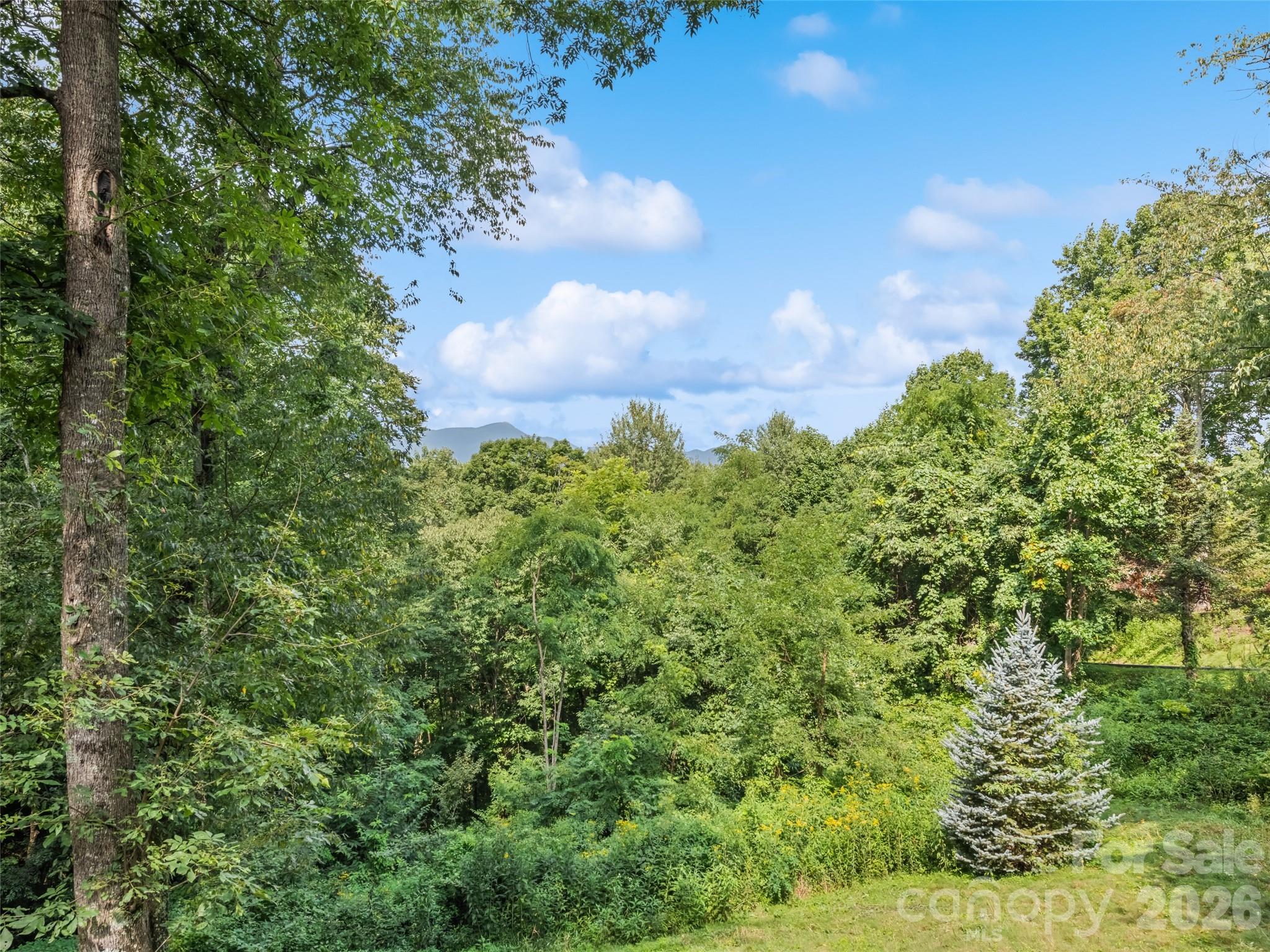 154 Presidential Drive — Waynesville