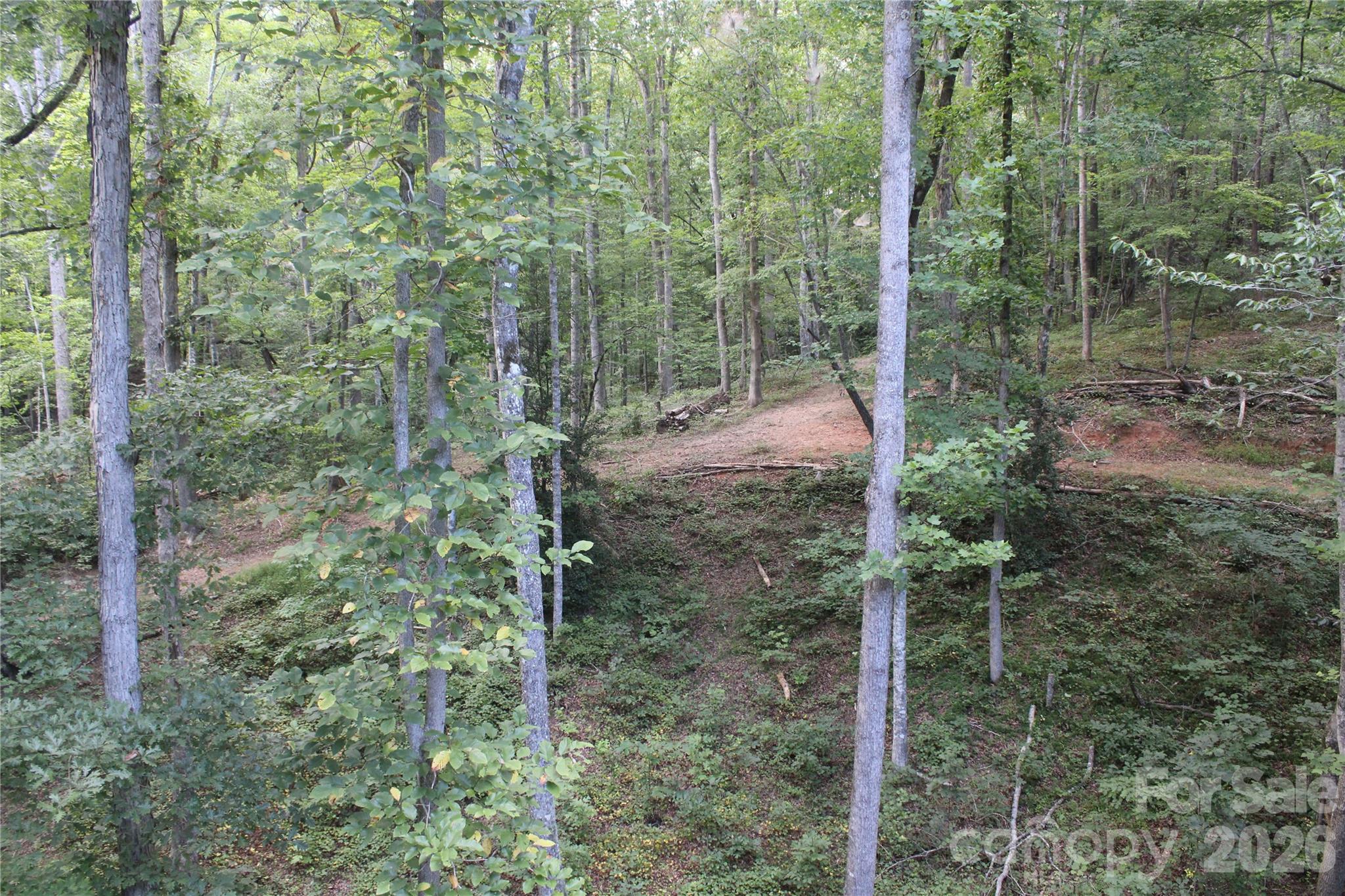 192 Wren Drive — Rutherfordton