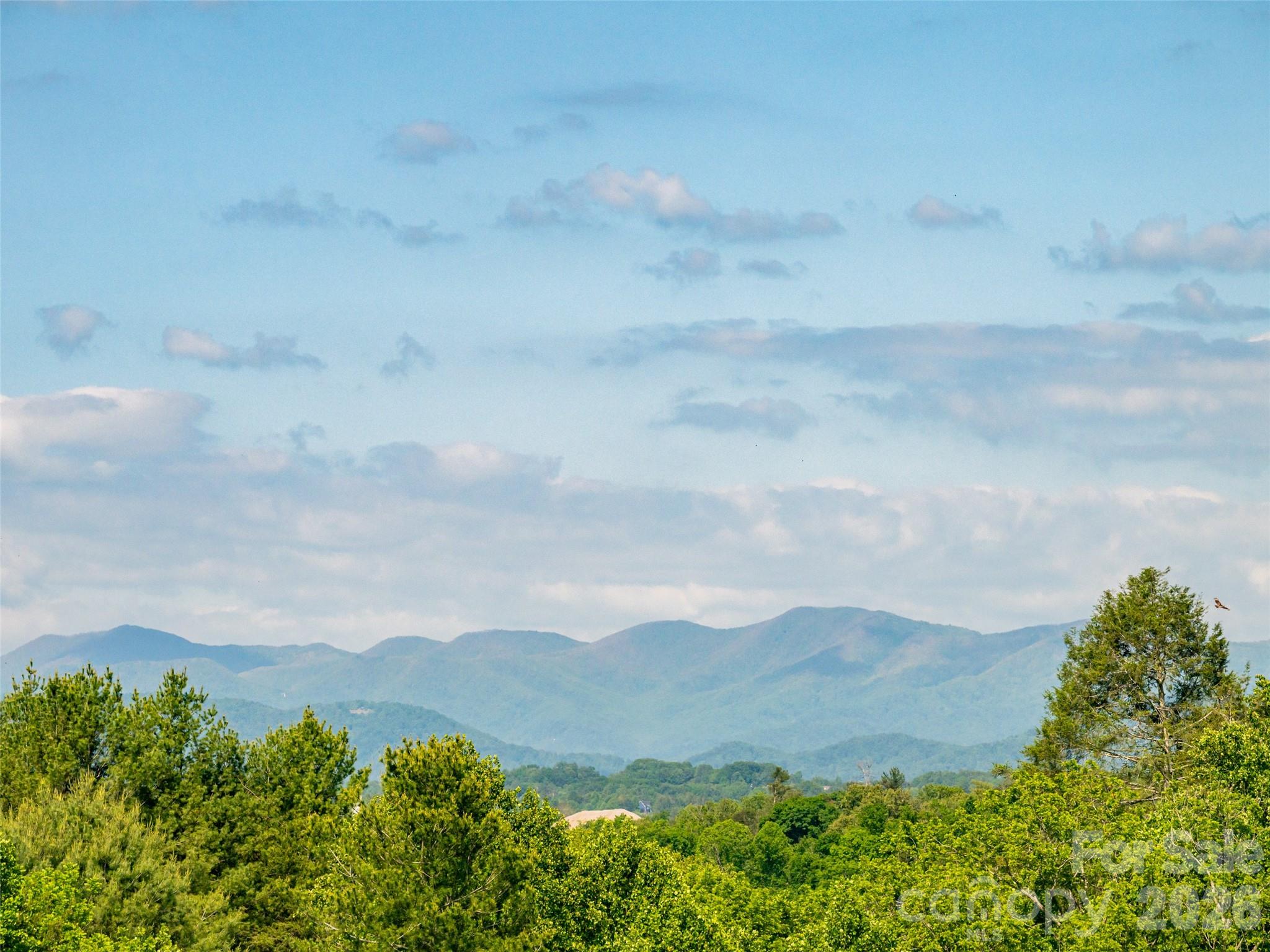 596 Country Oak Drive — Asheville