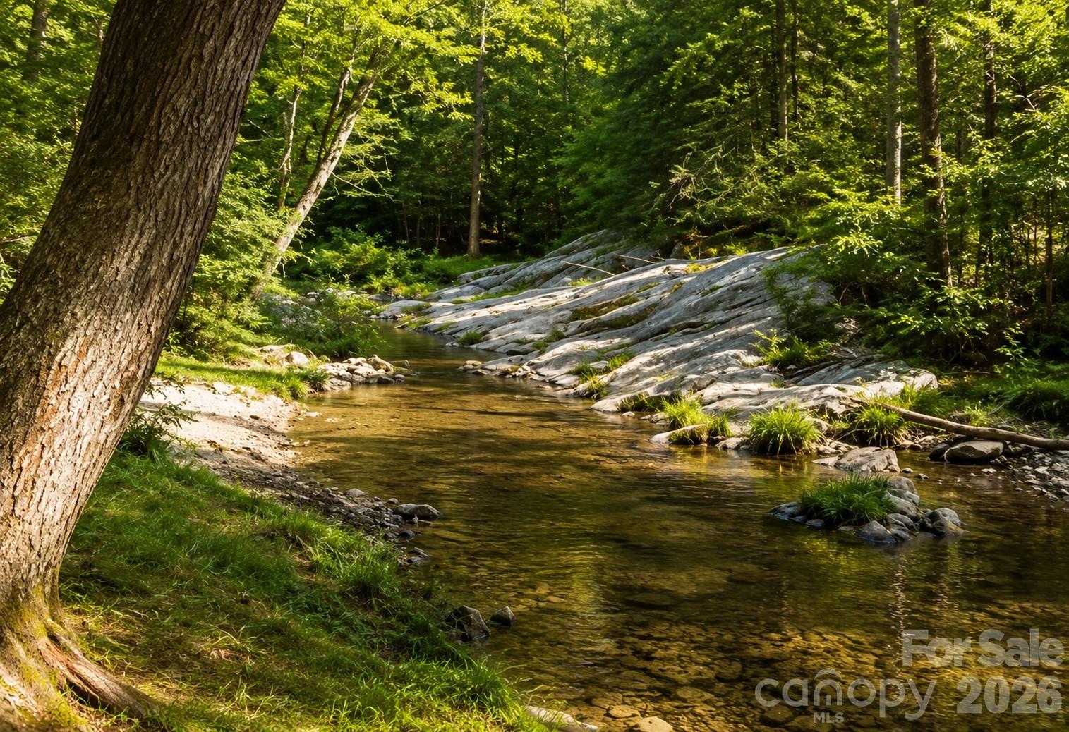 155 Horse Shoe Ridge Road E — Deep Gap
