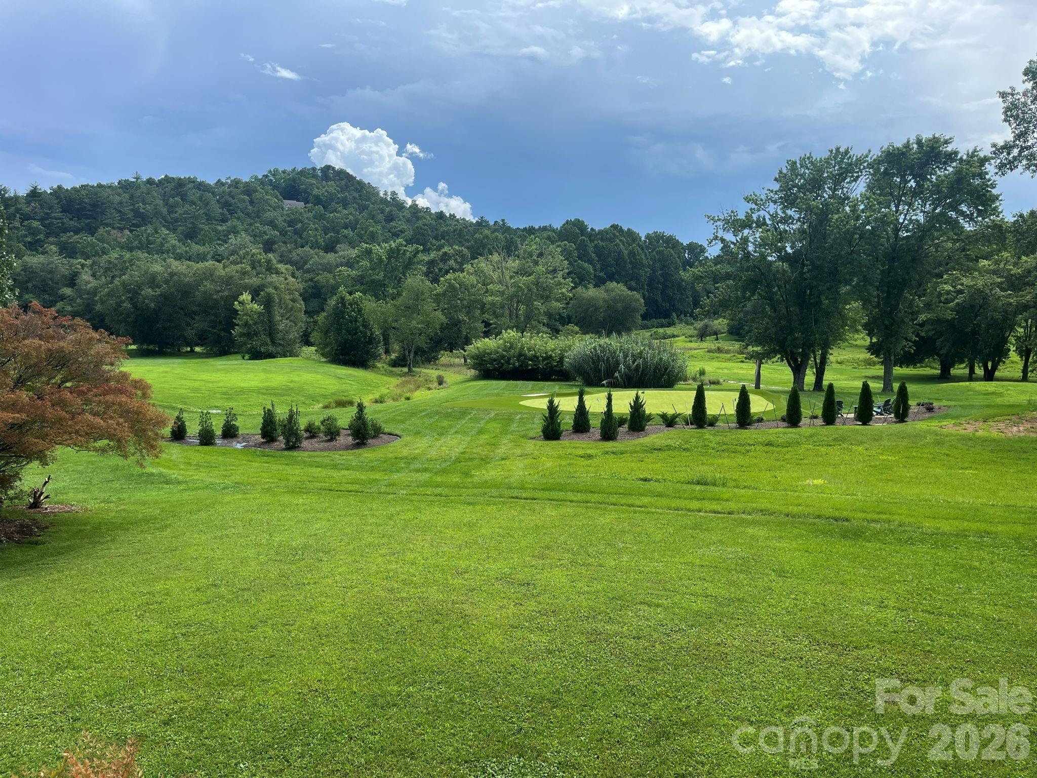 150 Holly Springs Road — Hendersonville