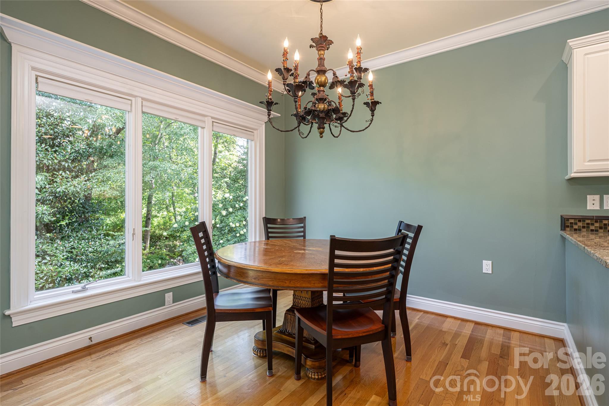 8 Clovelly Way — Asheville
