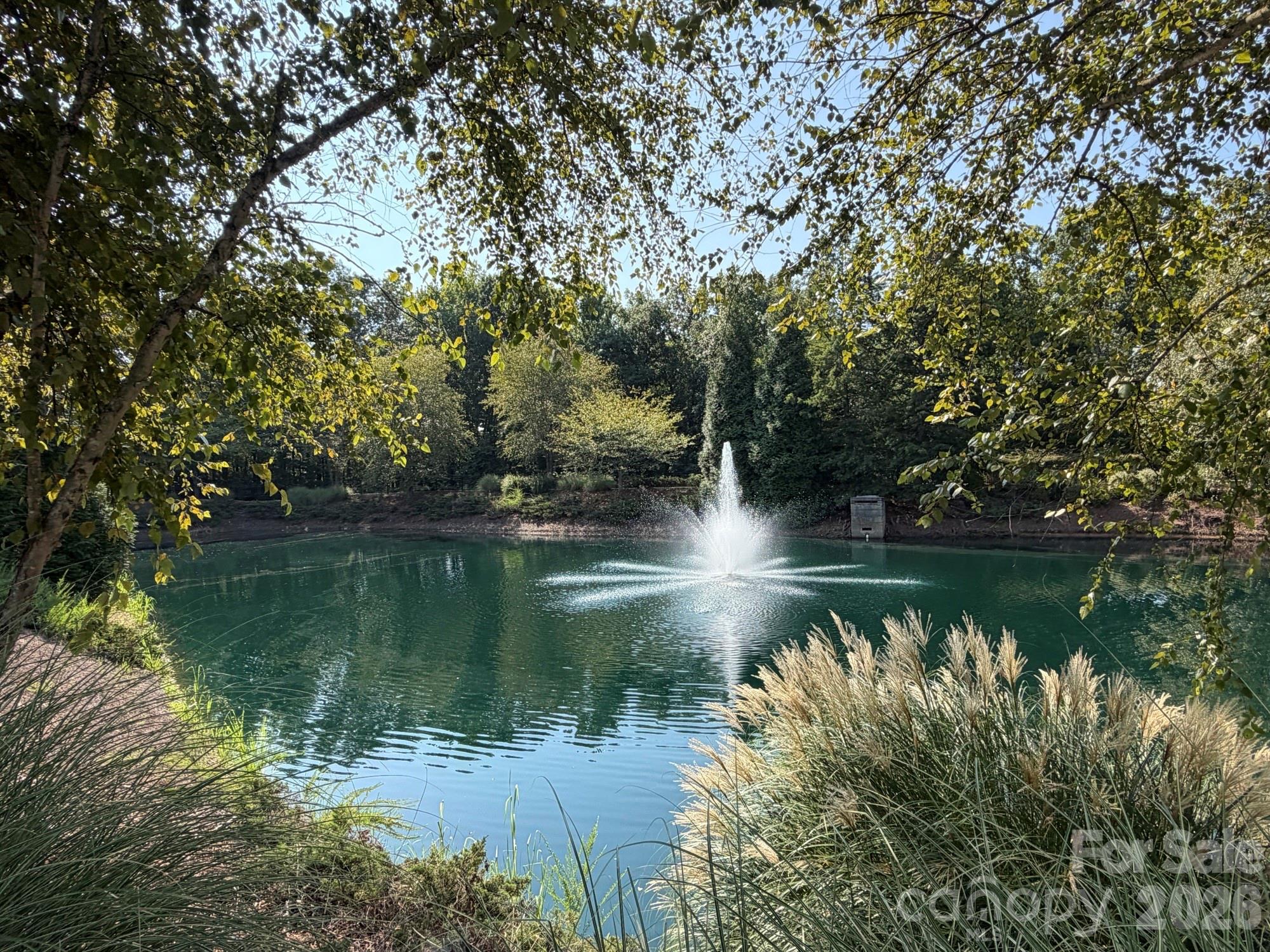 217 River Clay Road — Fort Mill