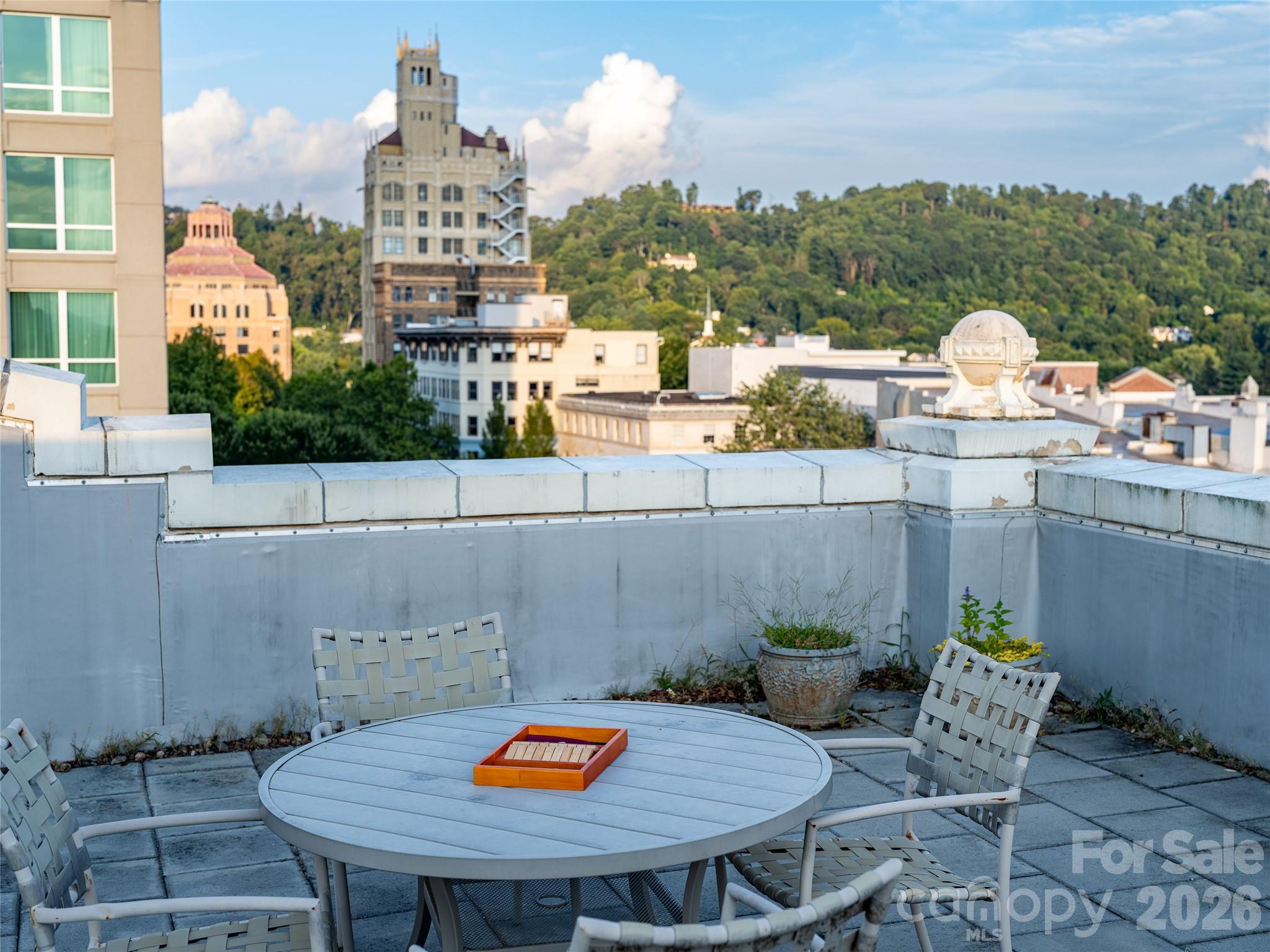 59 College Street #201 — Asheville