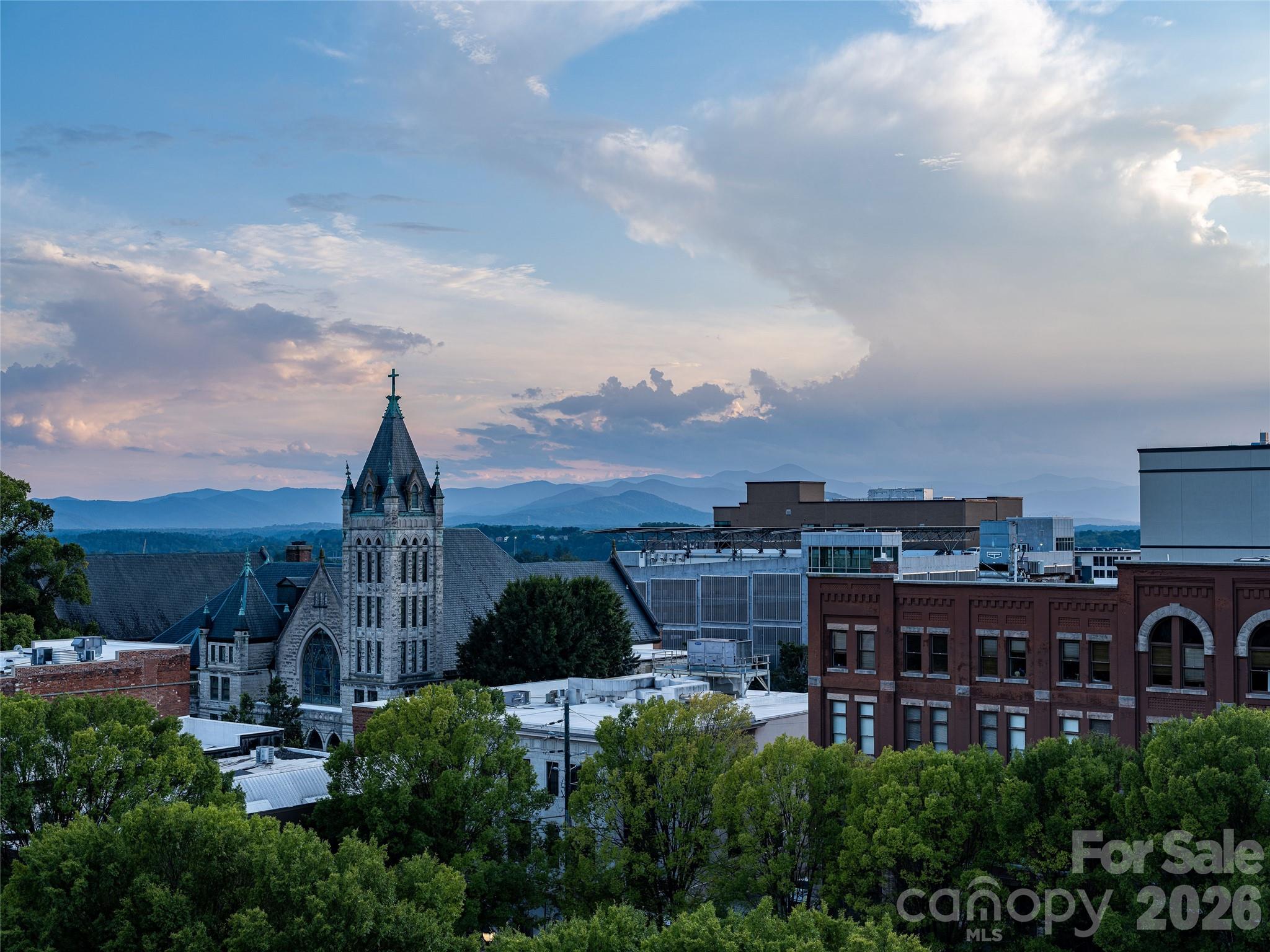 59 College Street #201 — Asheville
