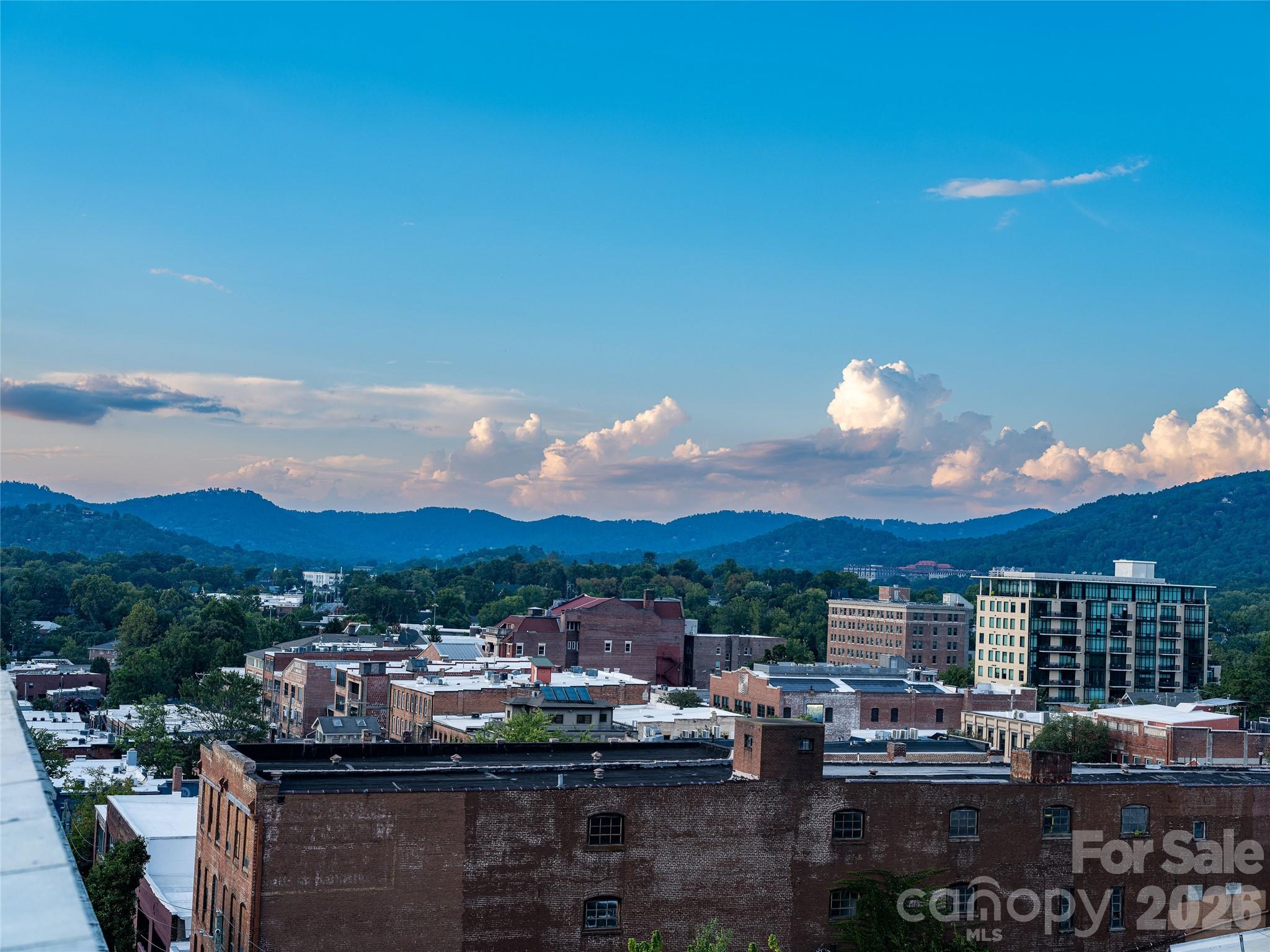 59 College Street #201 — Asheville