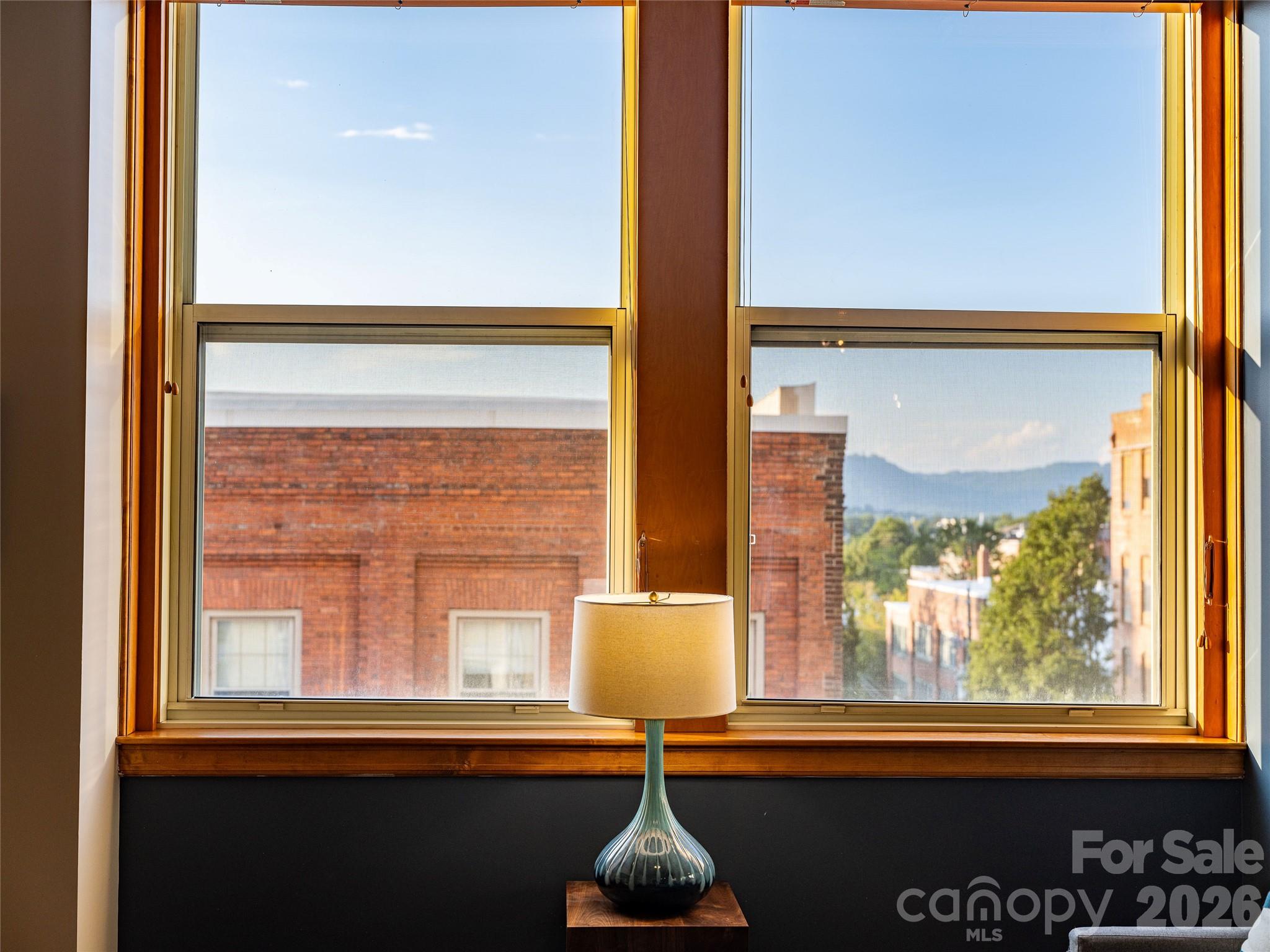 59 College Street #201 — Asheville