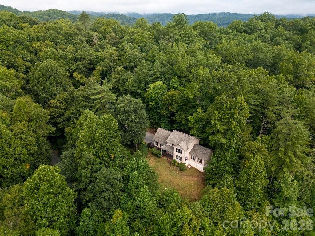 62 Pine Hill Drive — Brevard