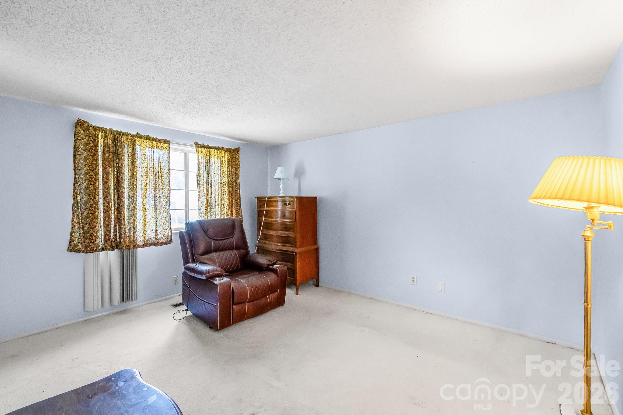6204 Turtle Neck Lane — Charlotte