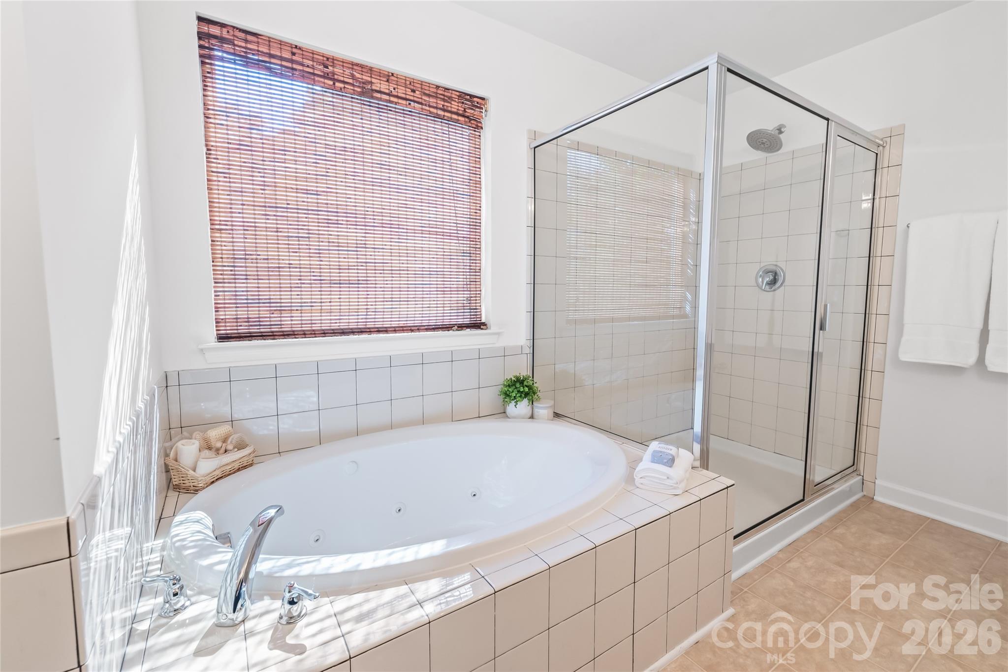 6404 Lanzerac Manor Drive — Charlotte