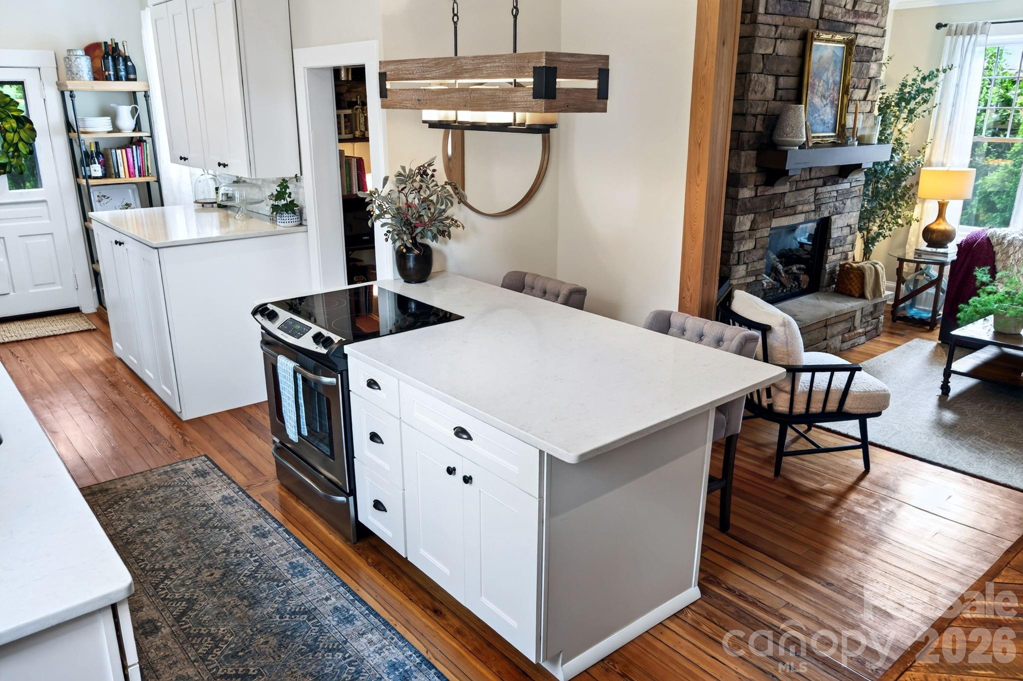 46 E Chestnut Street — Asheville