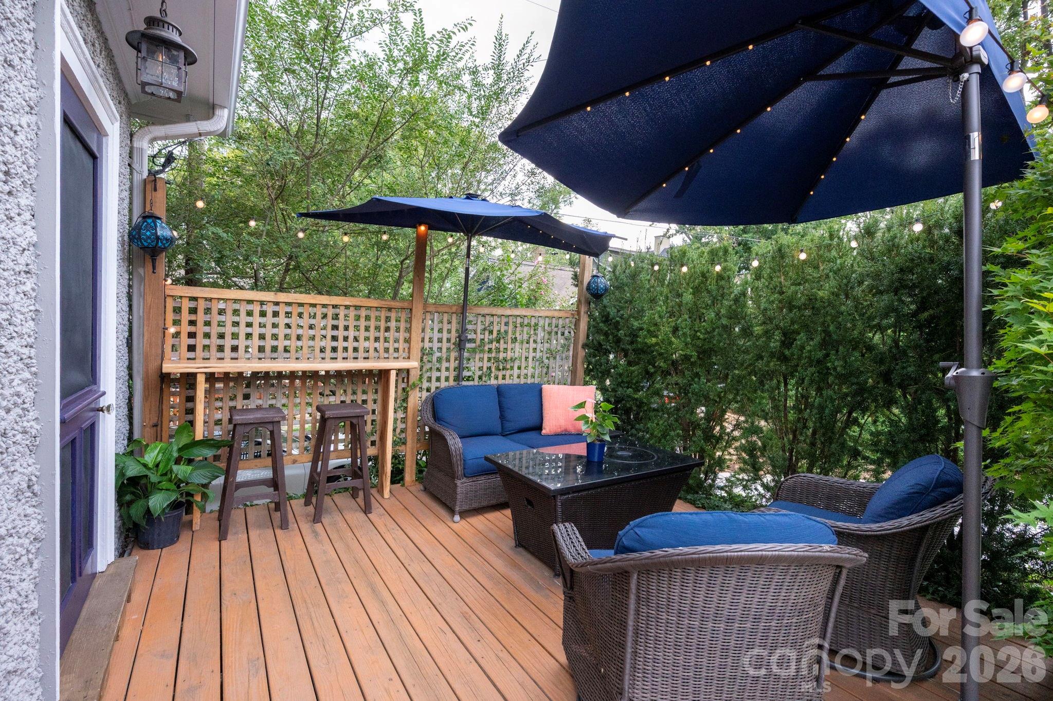46 E Chestnut Street — Asheville