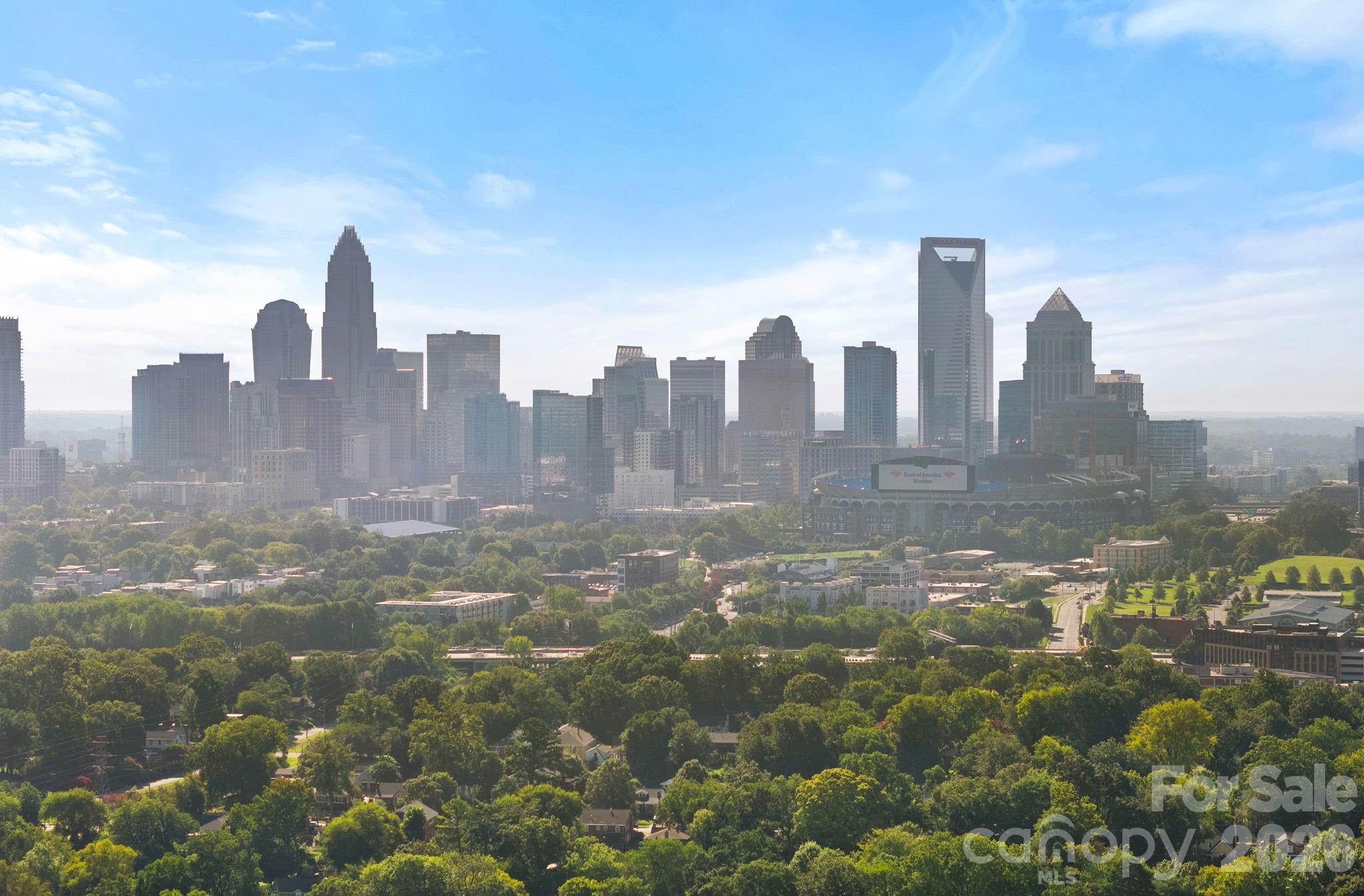 1725 Wesley Green Way — Charlotte