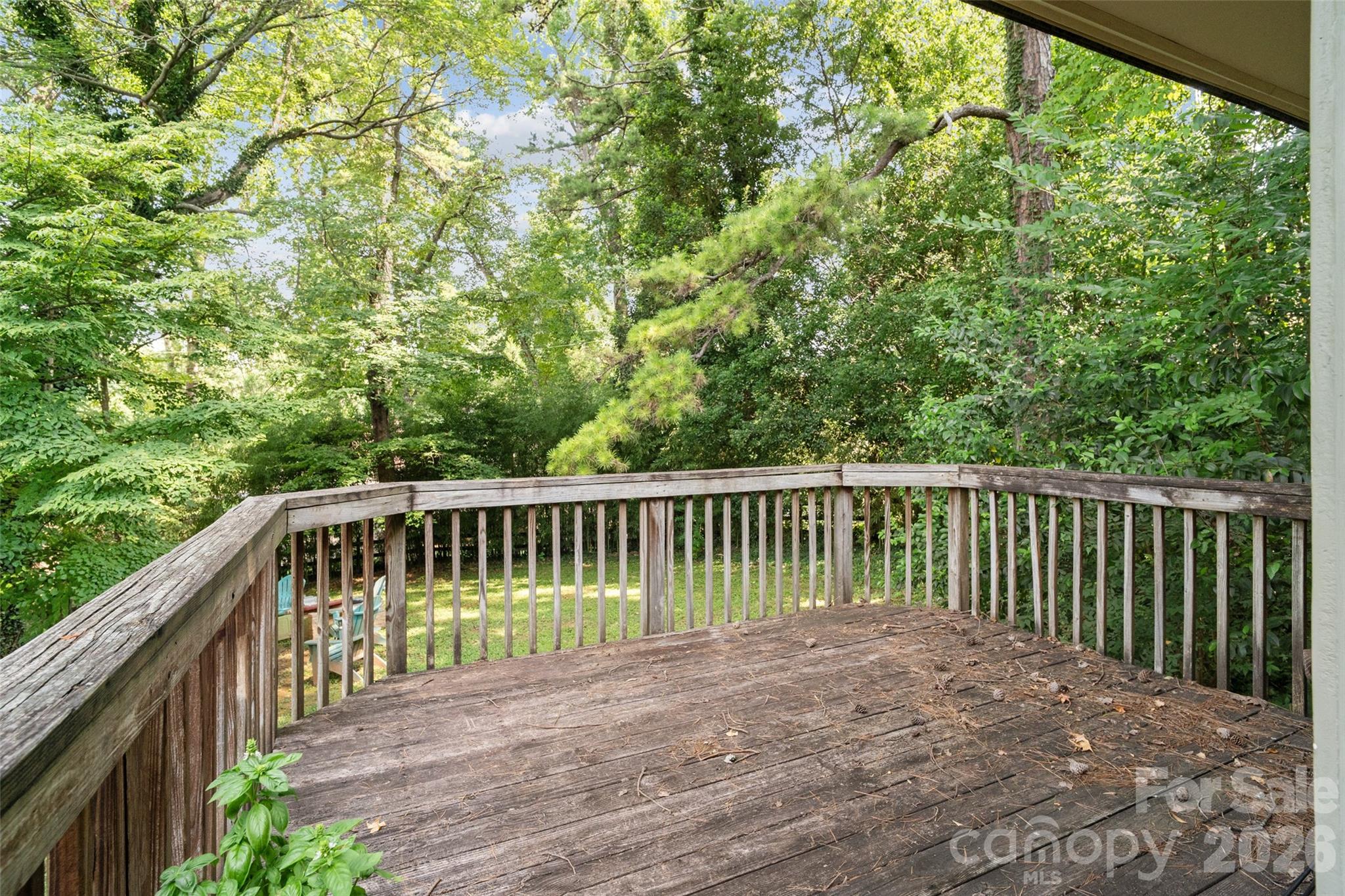 2911 Arundel Drive — Charlotte