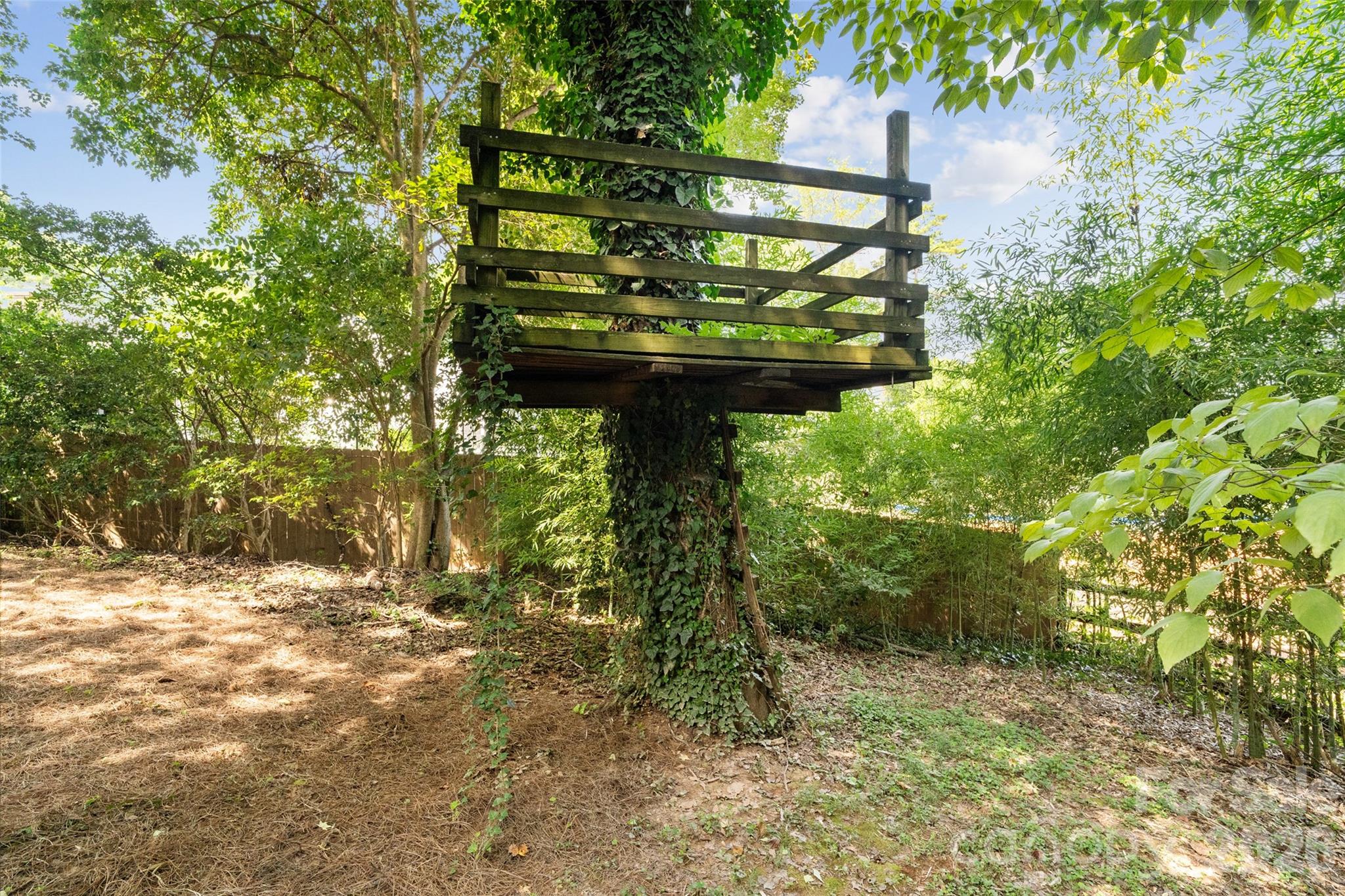 2911 Arundel Drive — Charlotte