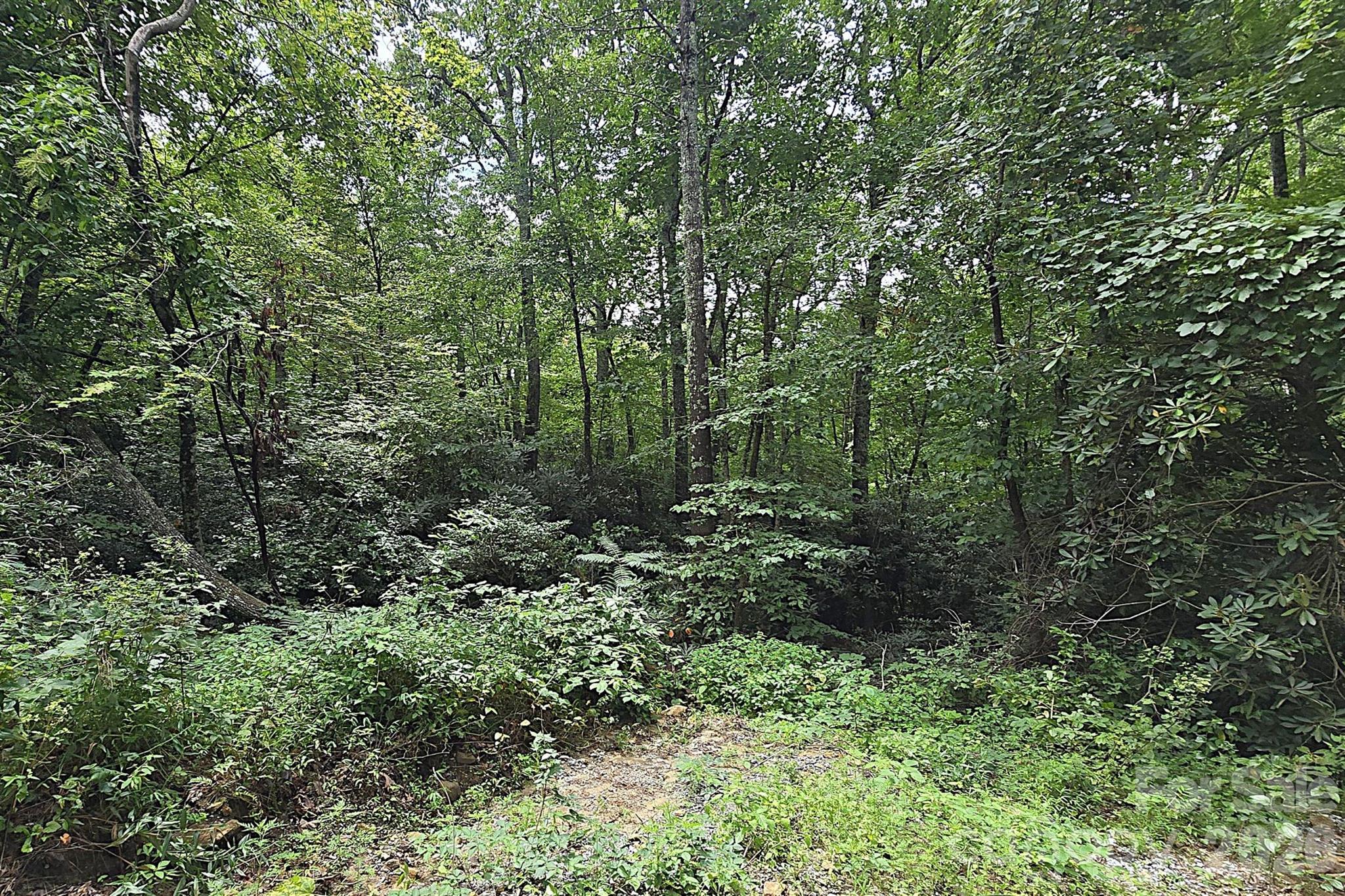86 Pine Ridge Road — Hendersonville