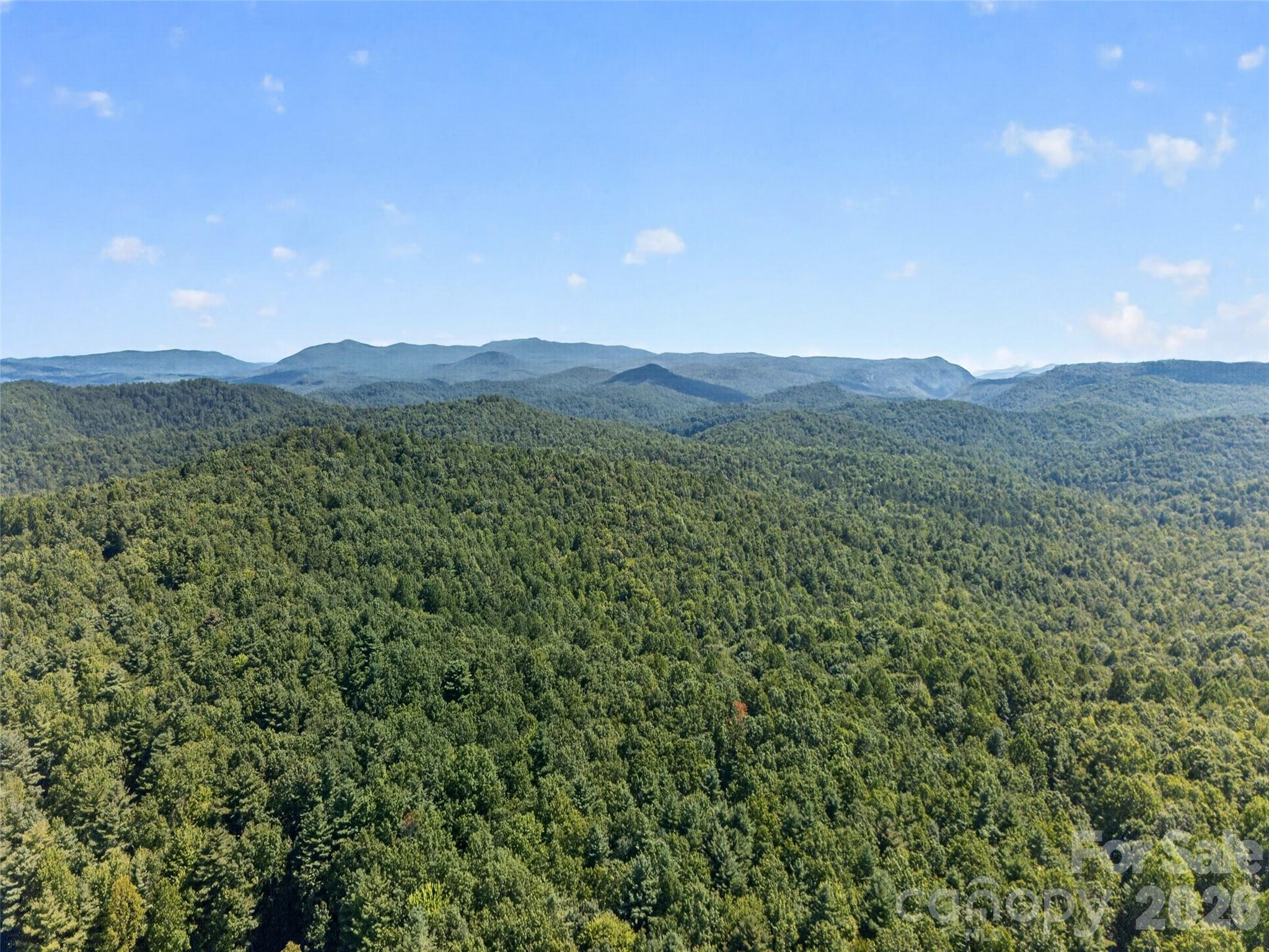 1900 Solomon Jones Road — Cedar Mountain