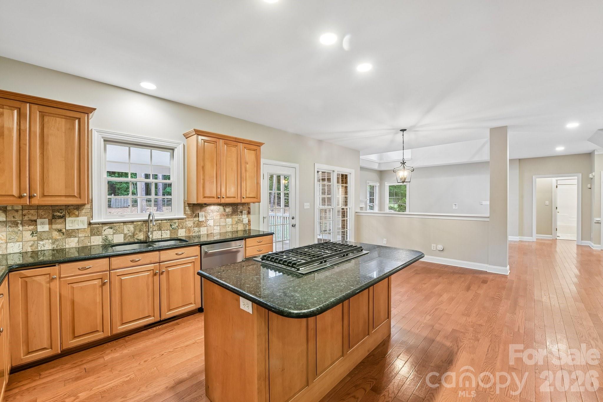 4123 Mountain Cove Drive — Charlotte