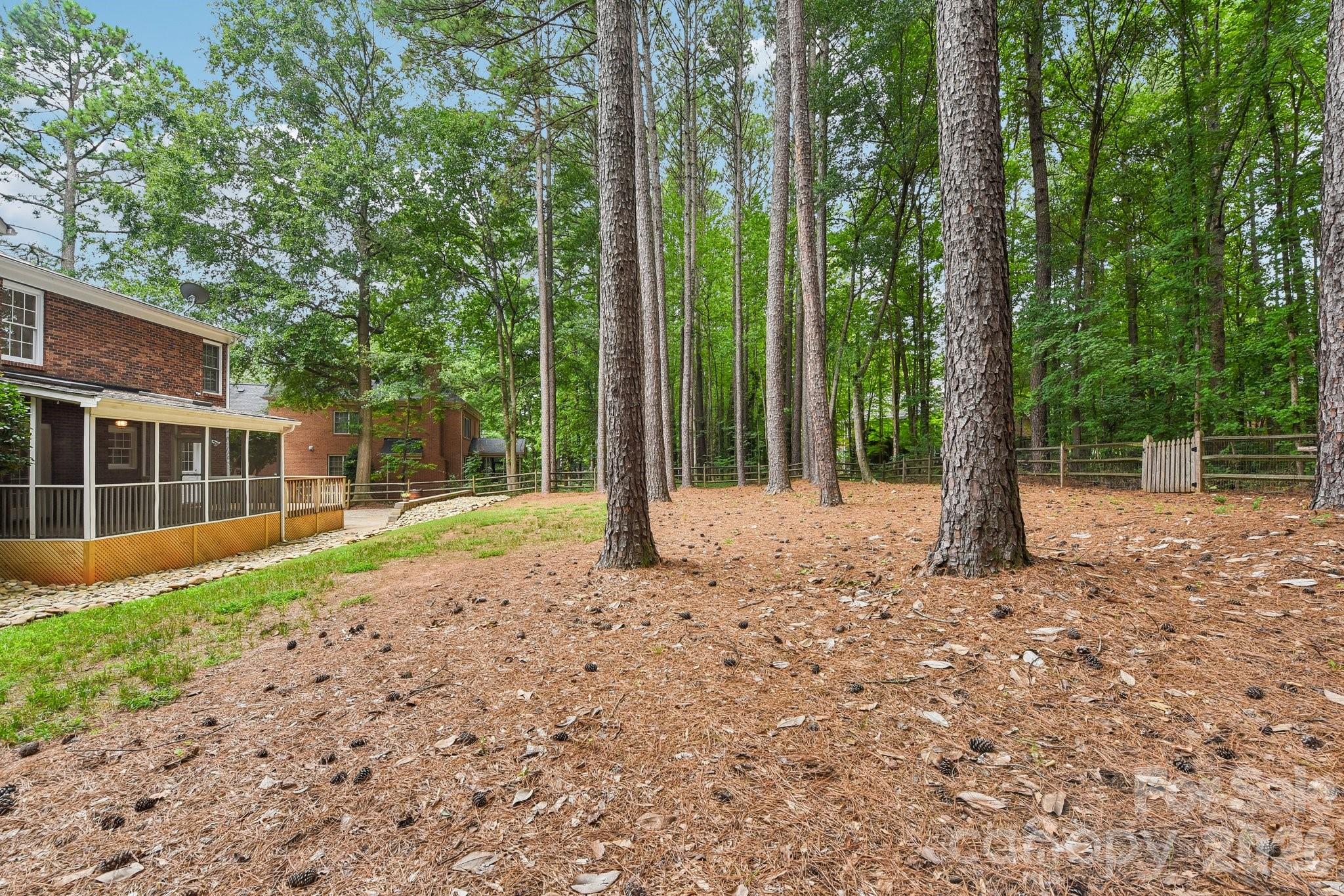 4123 Mountain Cove Drive — Charlotte