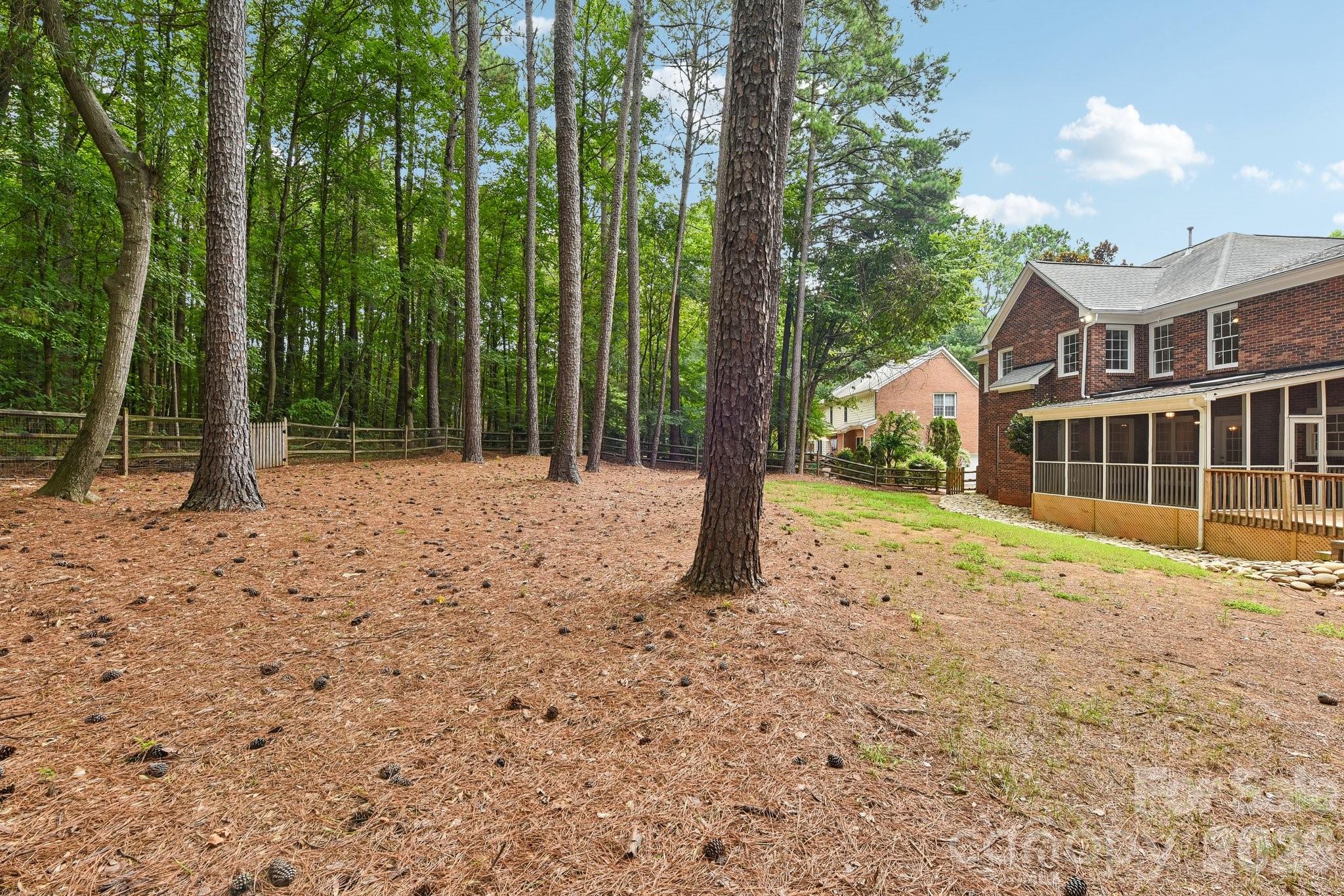 4123 Mountain Cove Drive — Charlotte