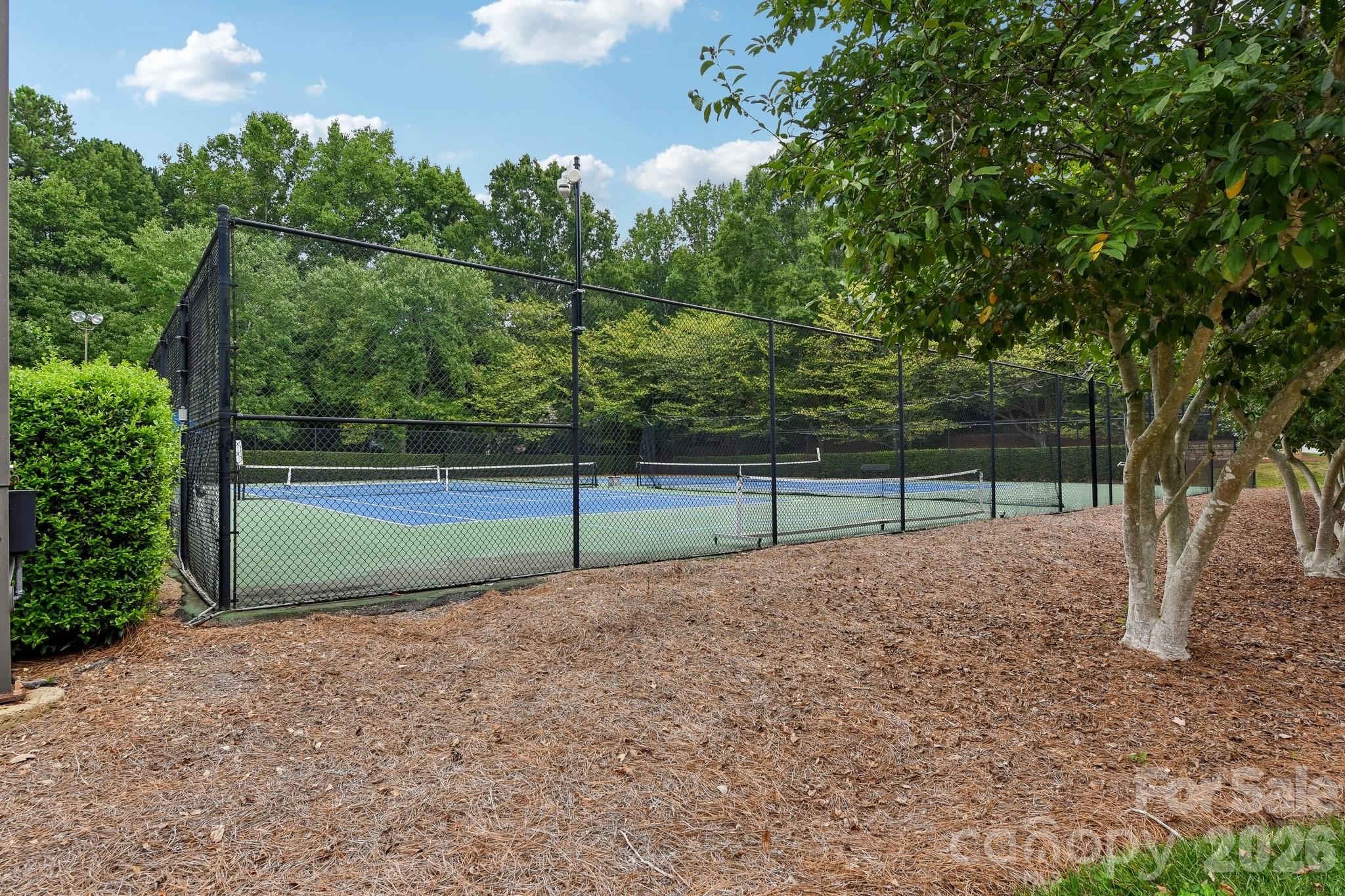 4123 Mountain Cove Drive — Charlotte