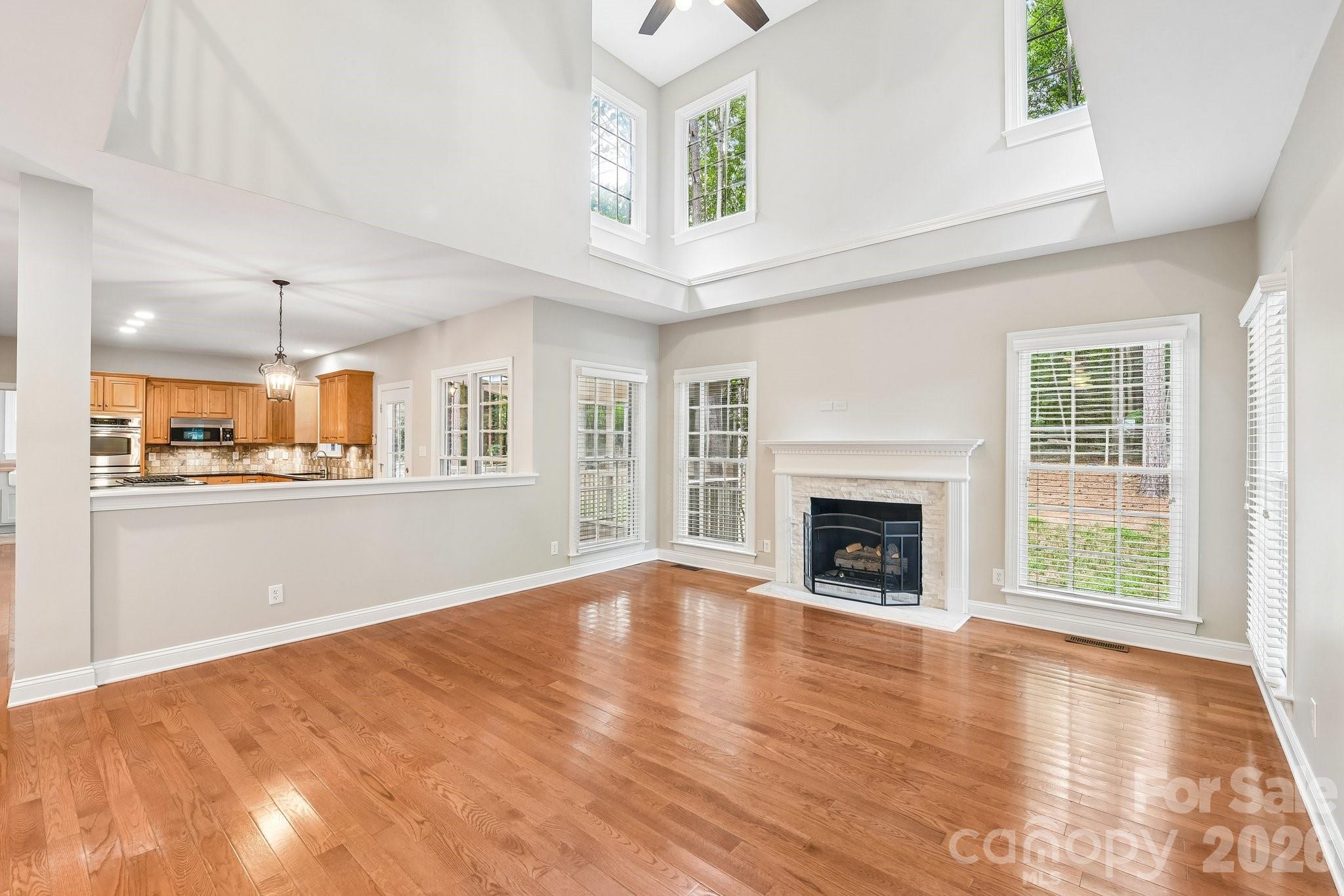 4123 Mountain Cove Drive — Charlotte
