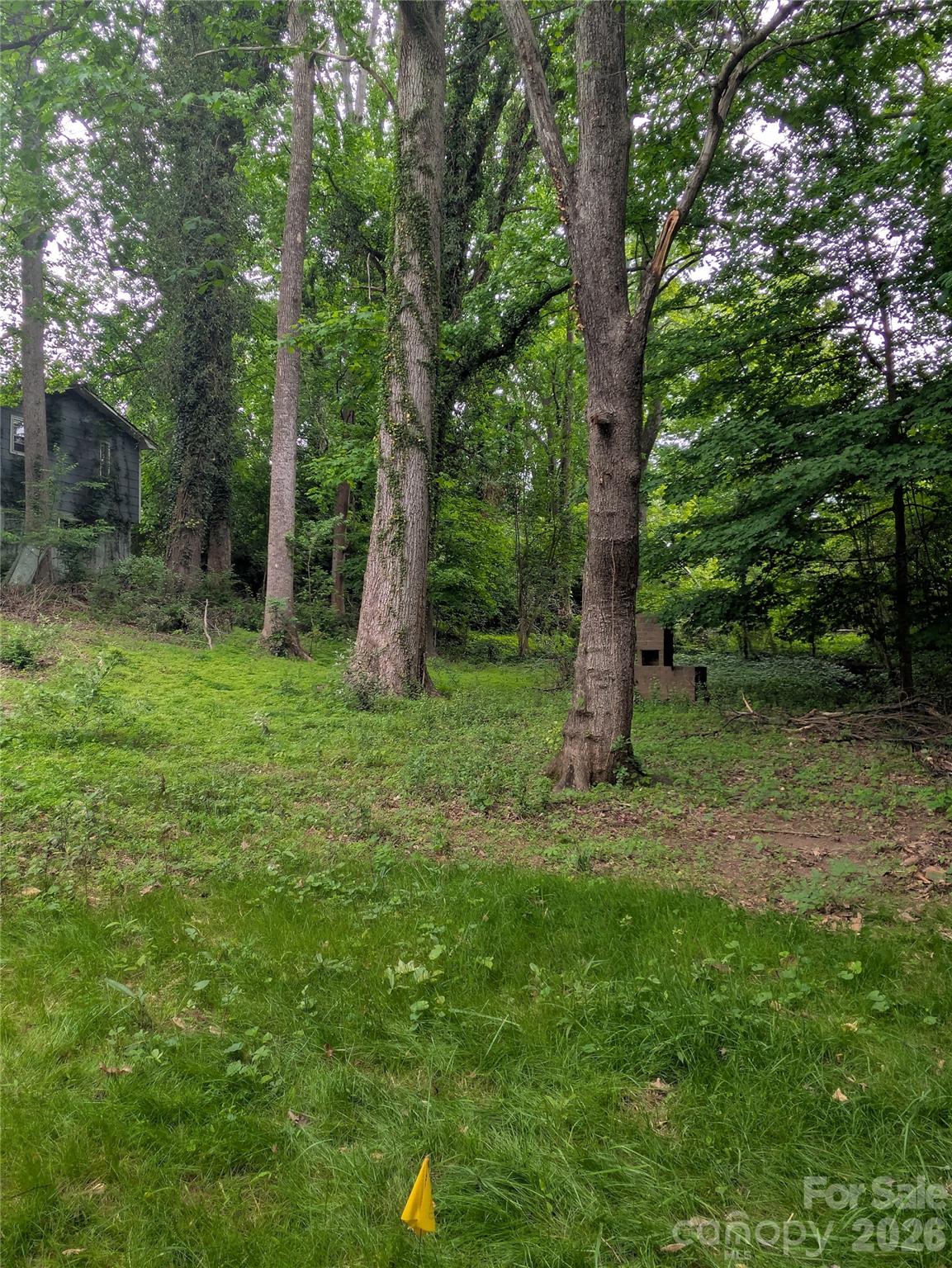 1002 Hemlock Drive — Shelby