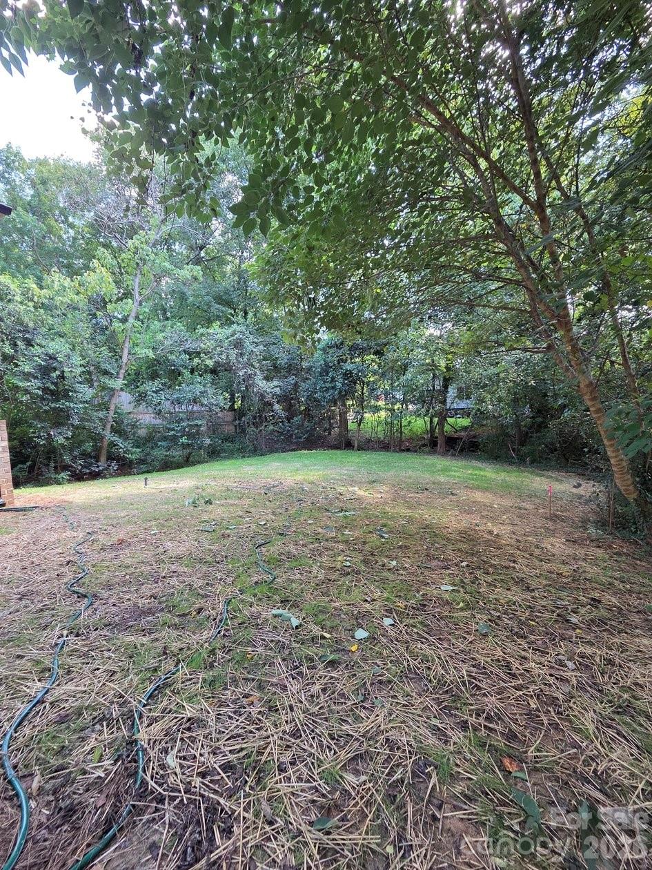 812 E 19th Street — Charlotte