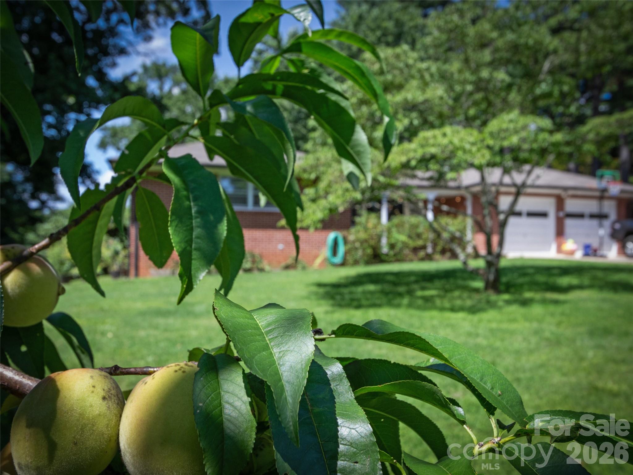 38 Crowell Road — Asheville
