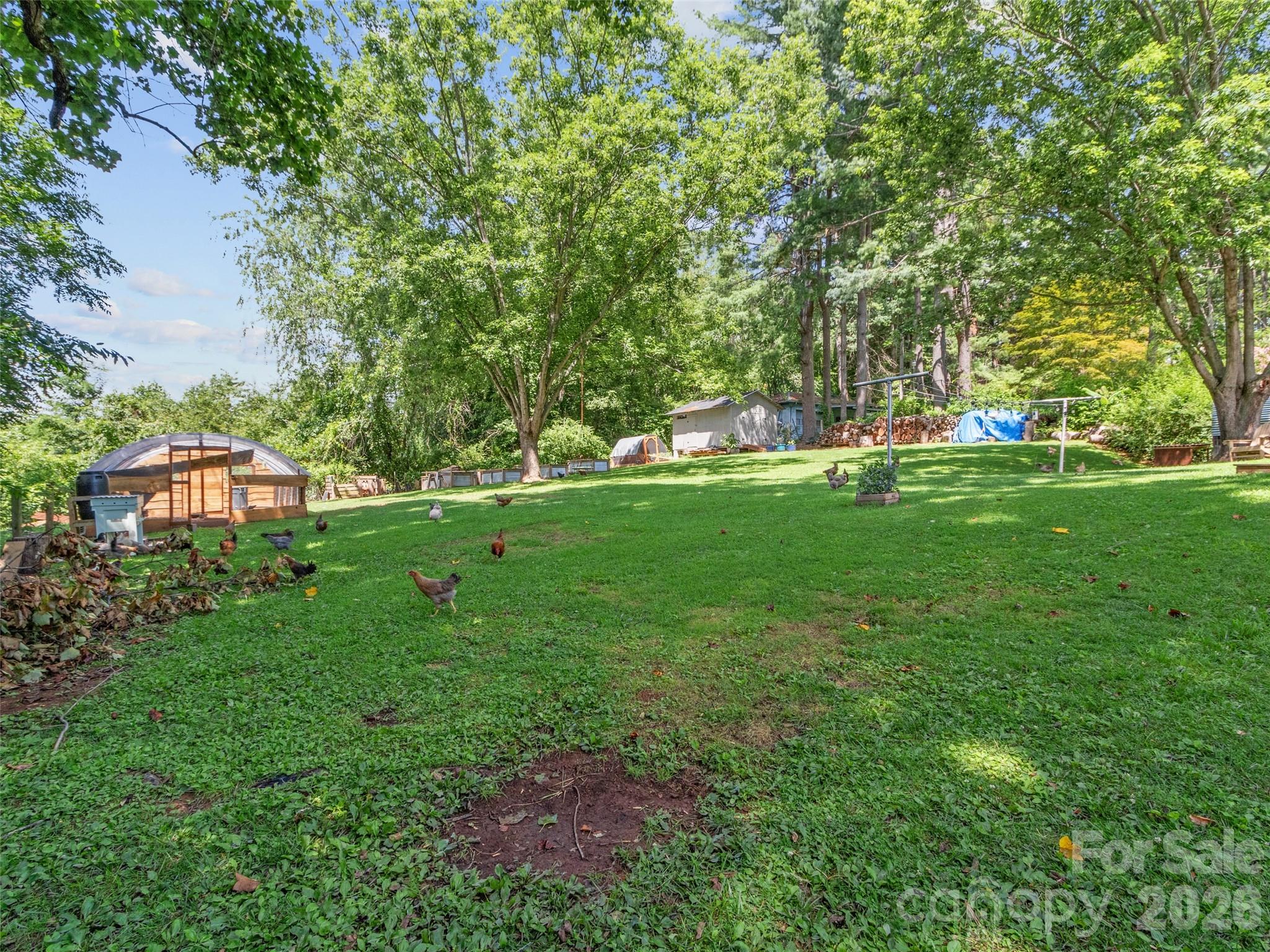 38 Crowell Road — Asheville