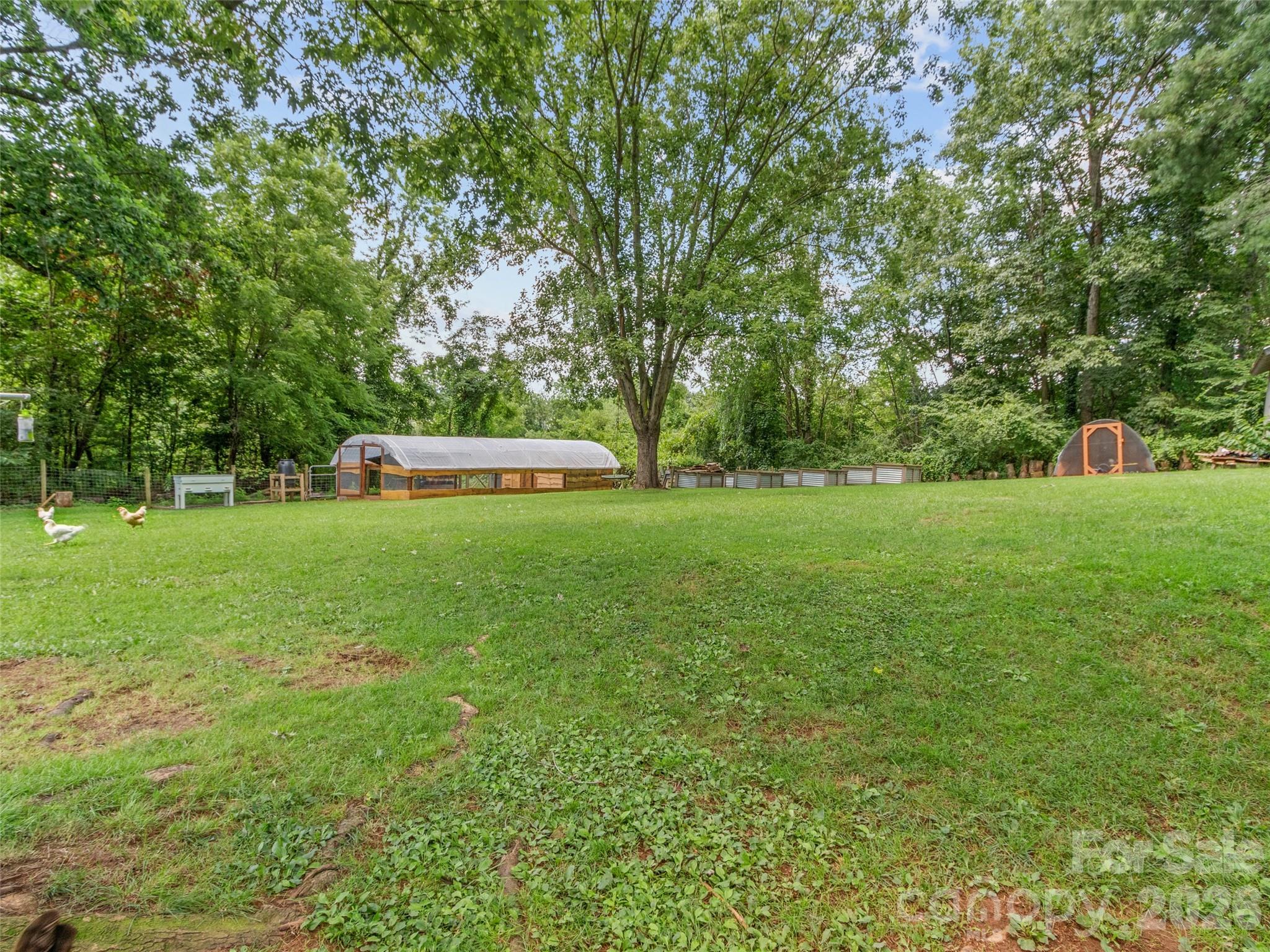 38 Crowell Road — Asheville